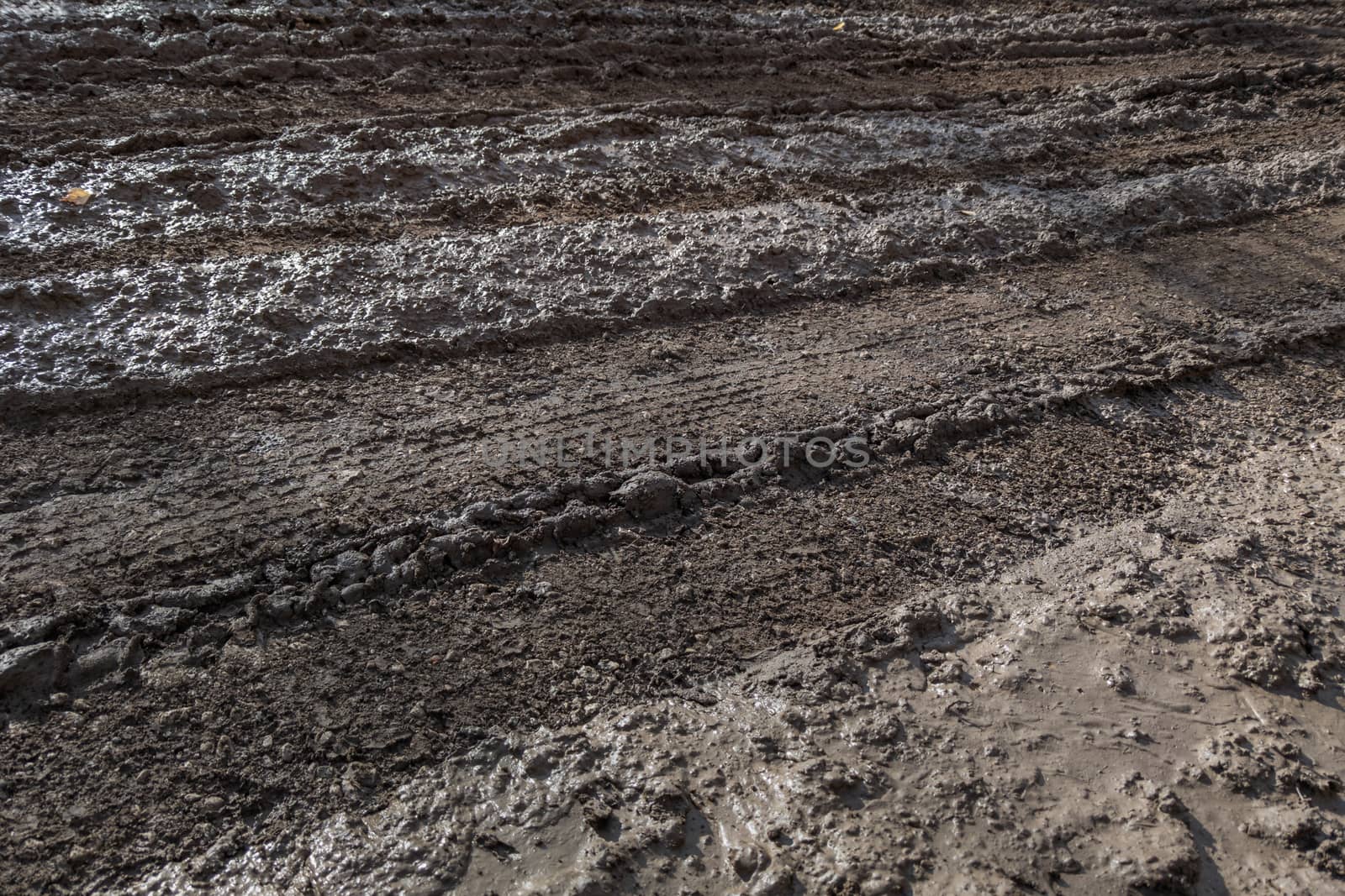 close-up full frame view of wet muddy dirt road at evening sun light.