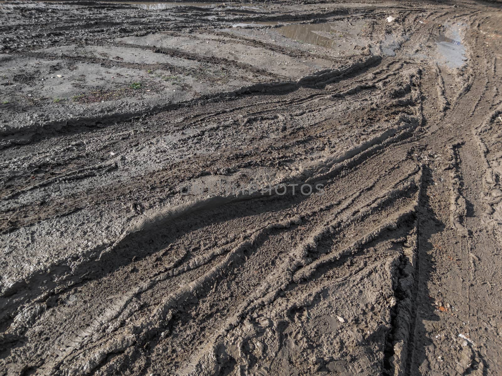 close-up full frame view of wet muddy dirt road at evening sun light.