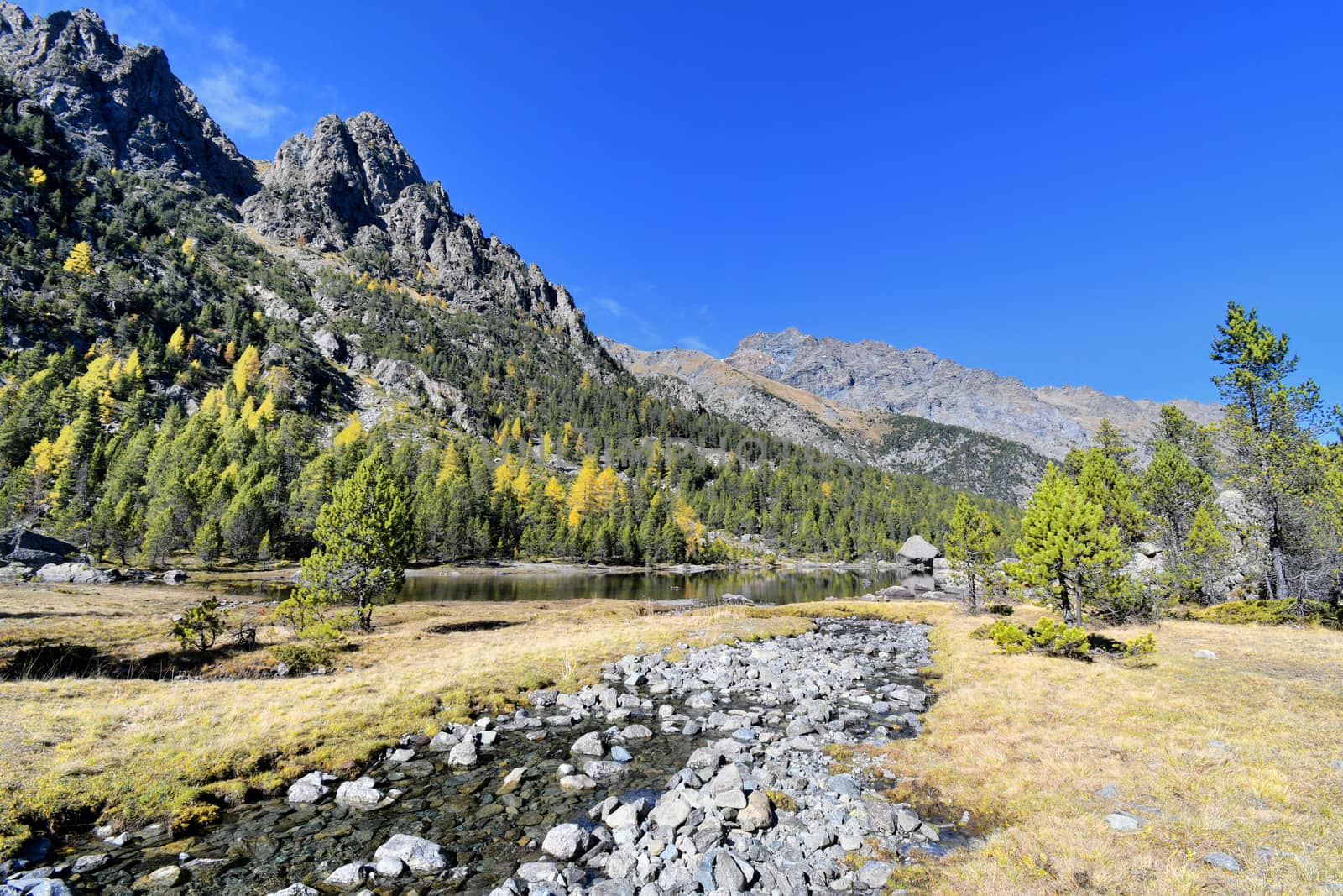 The Serva lake, a splendid alpine lake, in the natural park of Monte Avic in the Aosta valley