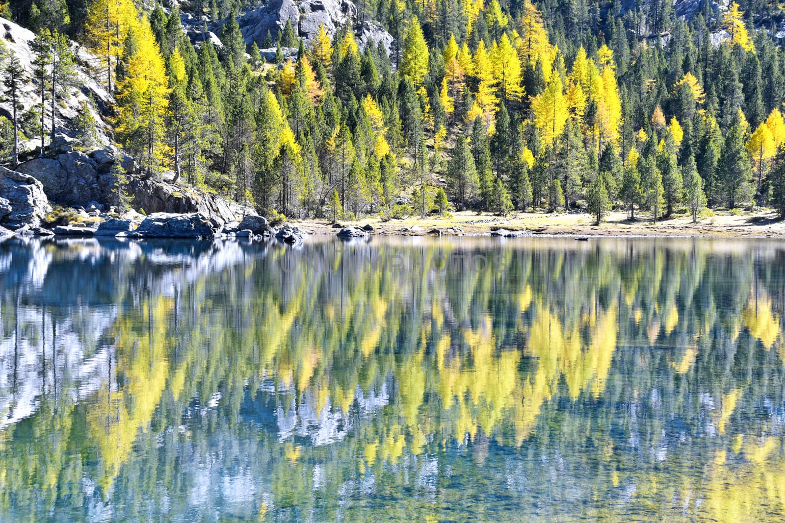 The Serva lake, a splendid alpine lake, in the natural park of Monte Avic in the Aosta valley