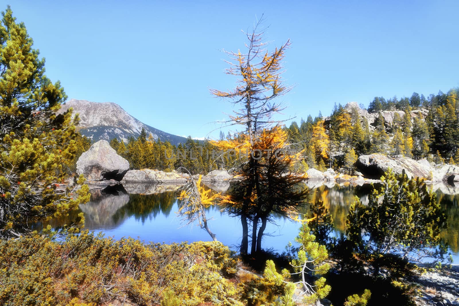The Serva lake, a splendid alpine lake, in the natural park of Monte Avic in the Aosta valley