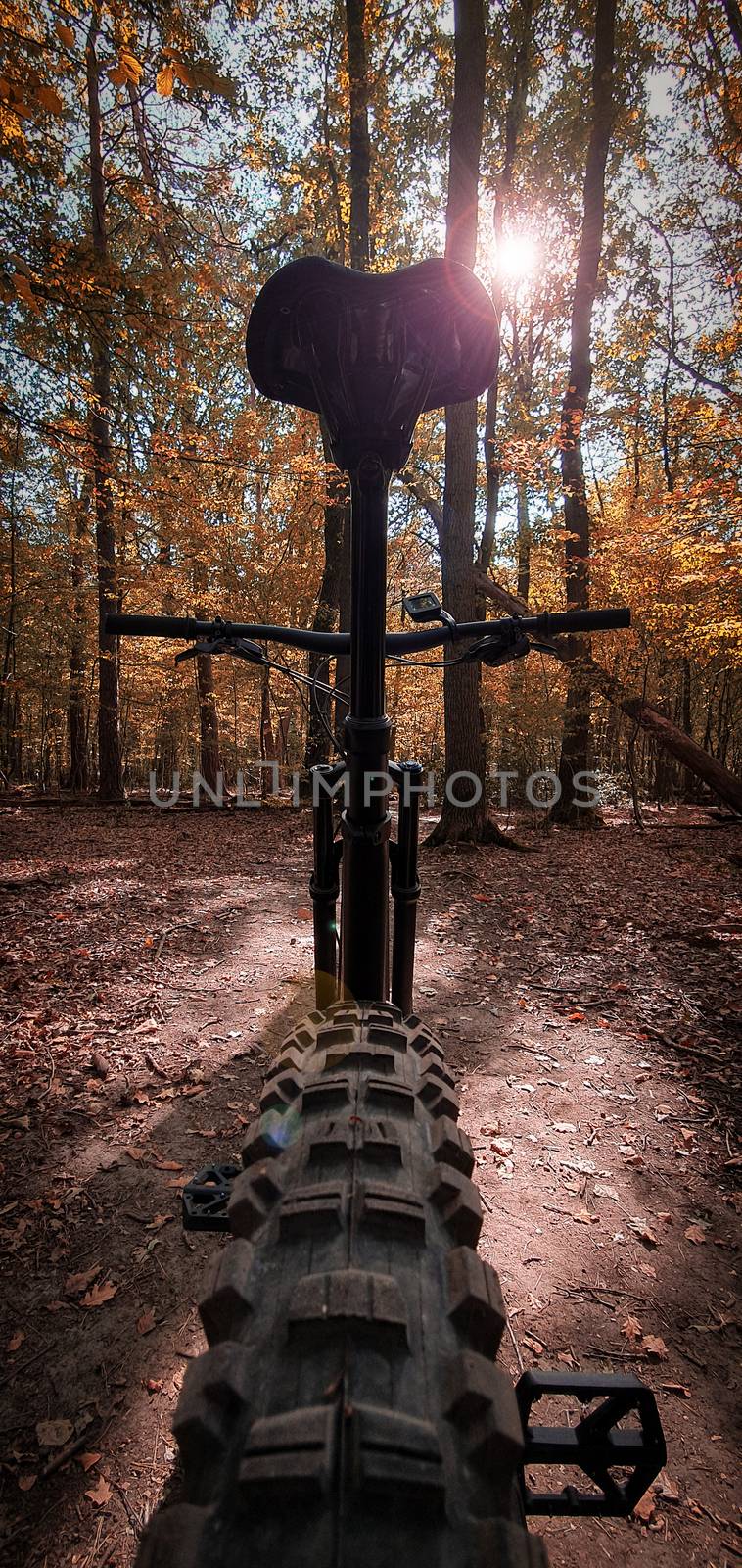 Low angle view of a mountain bike on an autumn trail by Mendelex