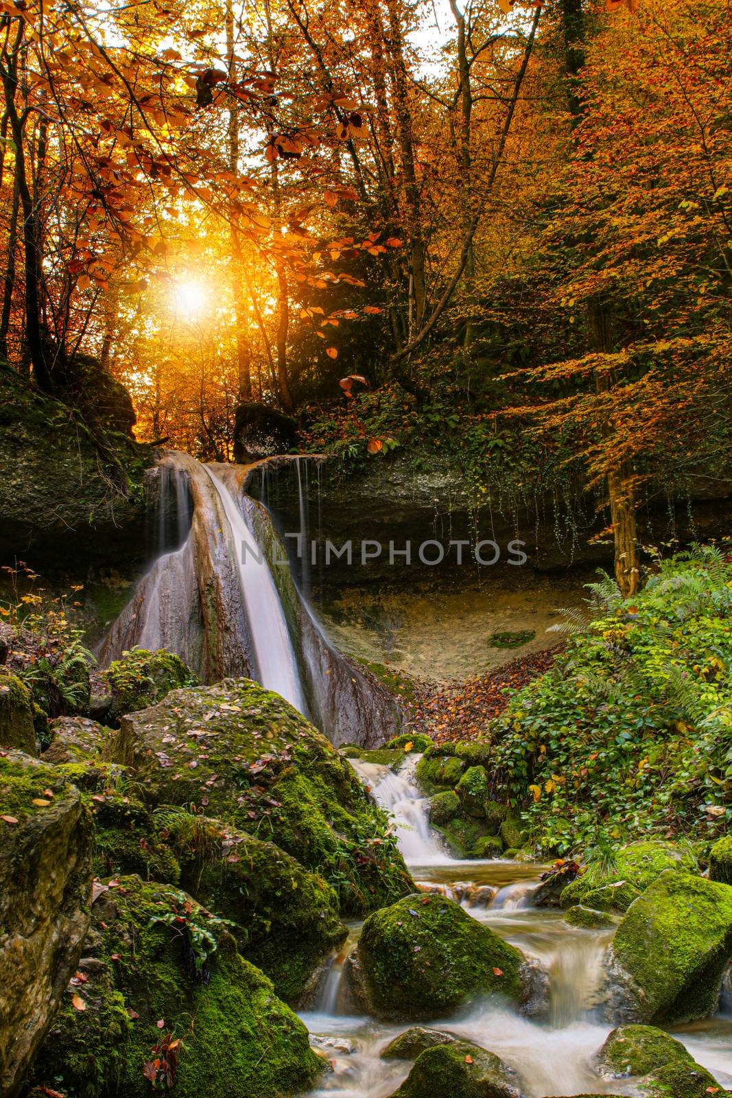 Waterfall in autumn with orange and yellow colors. Running clear, cold water in a forrest during autumn. by PeterHofstetter