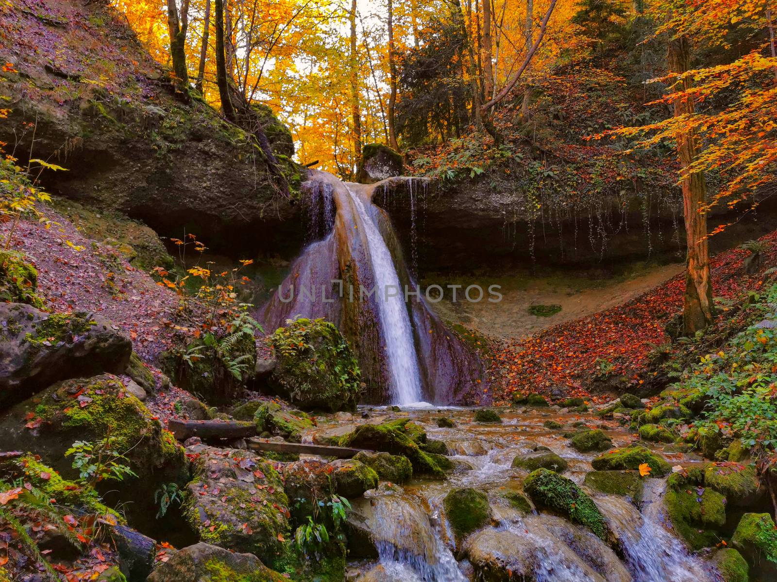 Waterfall in autumn with orange and yellow colors. Running clear, cold water in a forrest during autumn. by PeterHofstetter