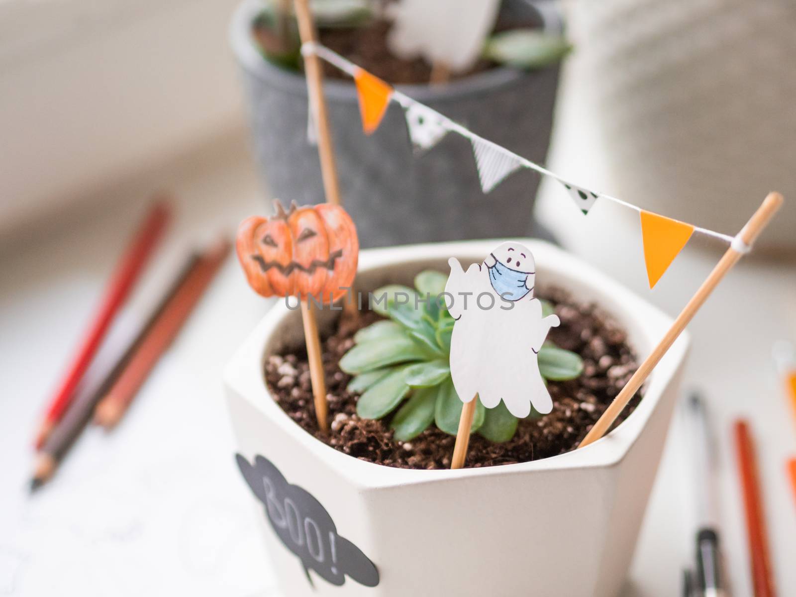 Hand drawn Halloween 2020 decorations in flower pots with crassula succulent plants. Ghost in medical protective mask and pumpkins in flower pot. Cozy home.