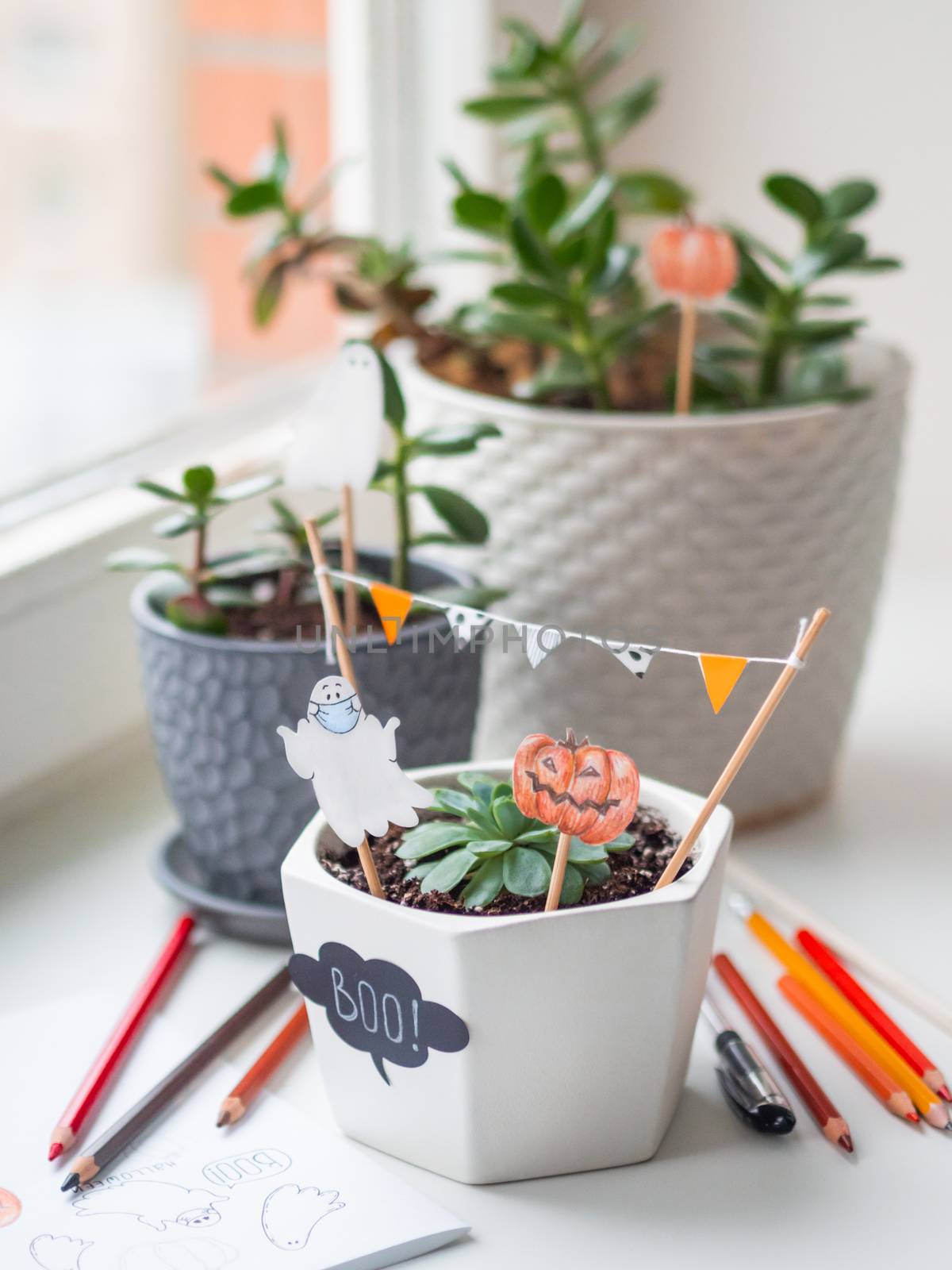 Hand drawn Halloween 2020 decorations in flower pots with crassula succulent plants. Ghost in medical protective mask and pumpkins in flower pot. Cozy home.