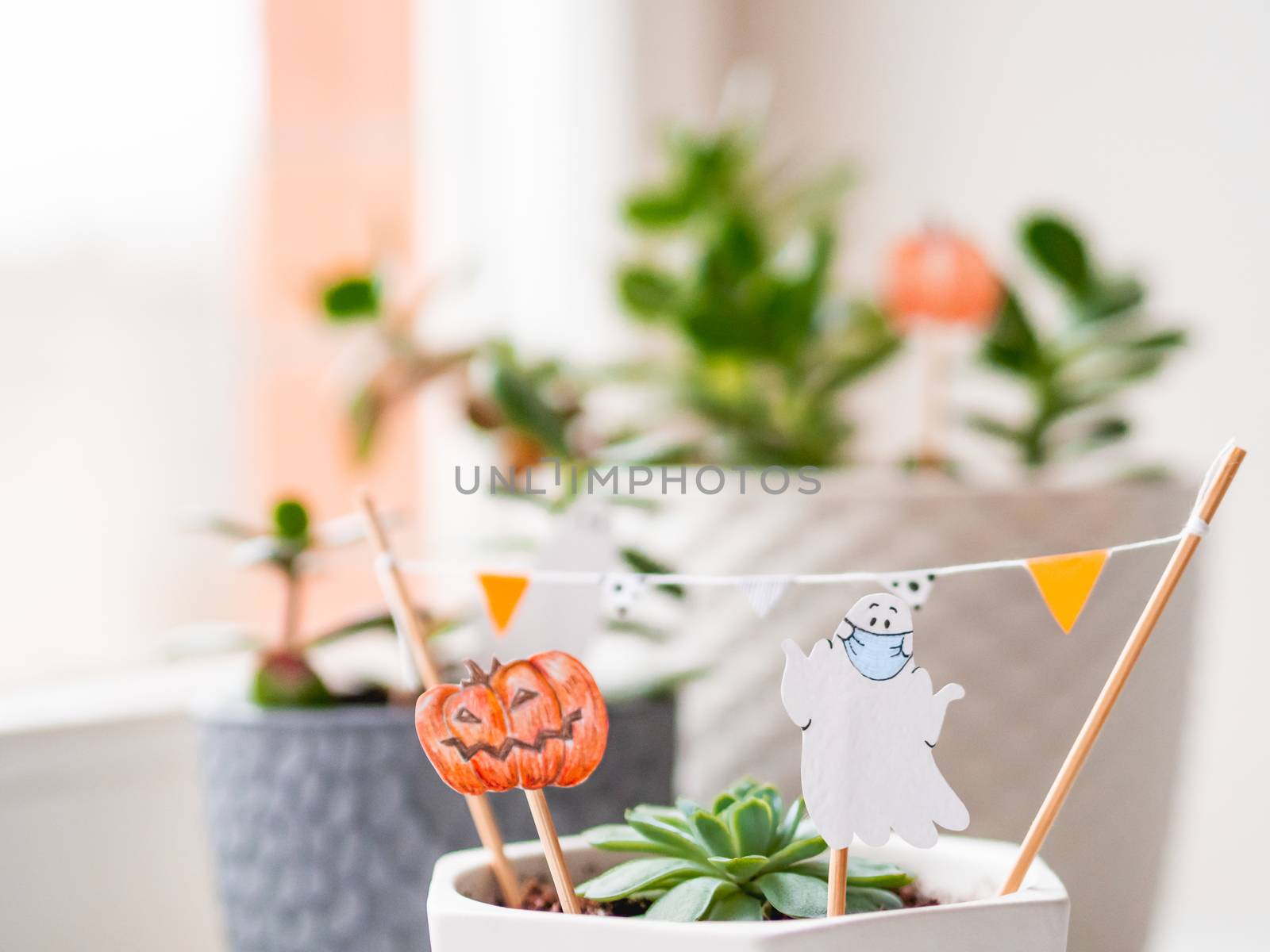 Hand drawn Halloween 2020 decorations in flower pots with crassu by aksenovko