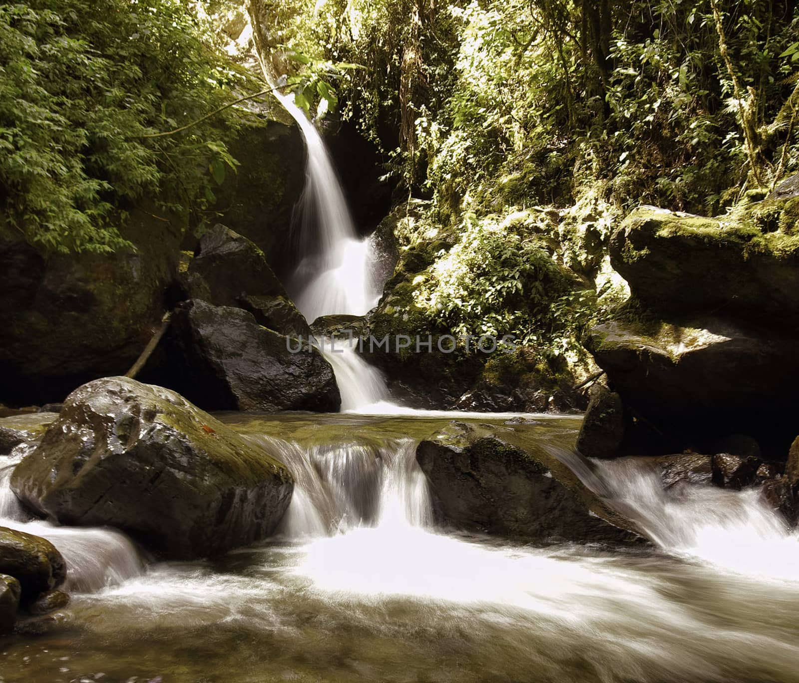 Beautiful pictures of  Colombia