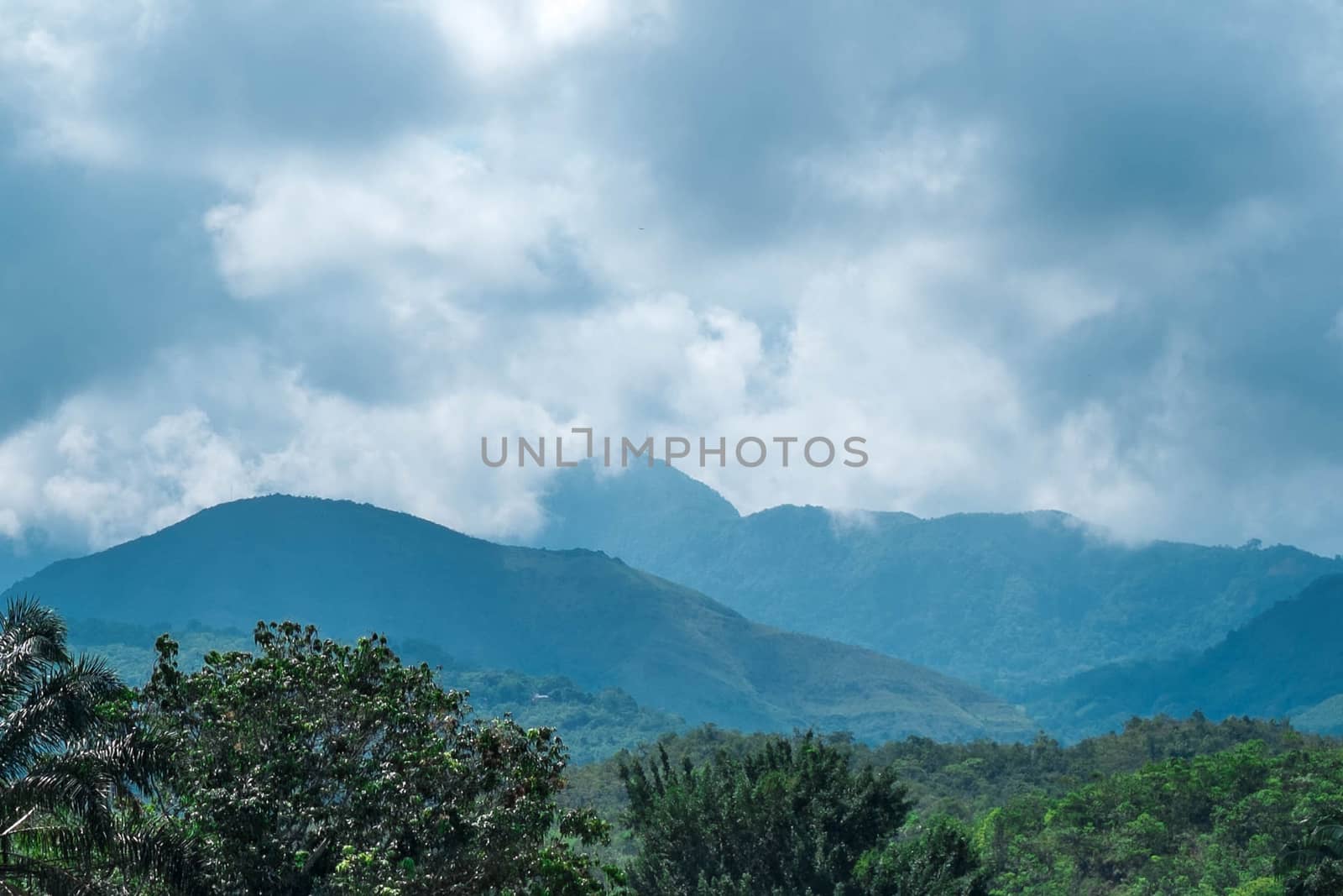 Beautiful pictures of  Colombia