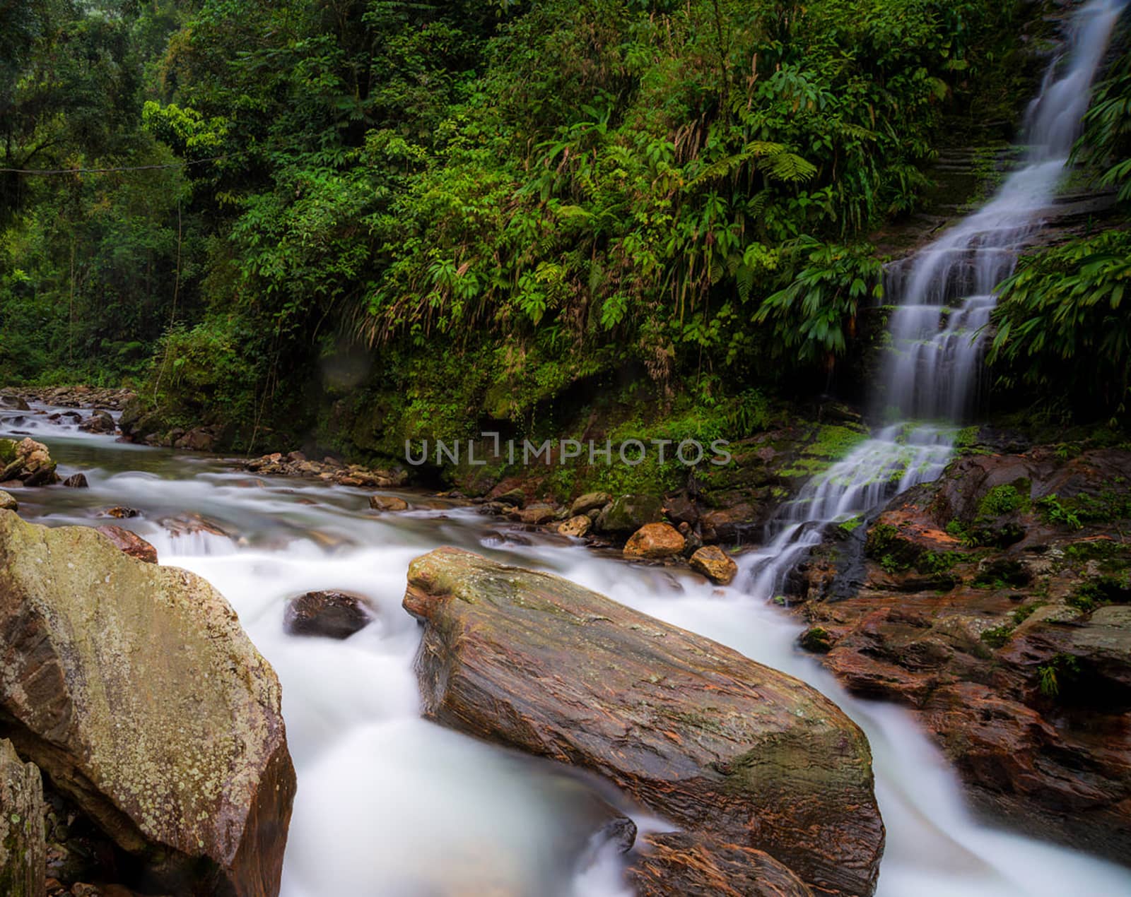 Beautiful pictures of  Colombia
