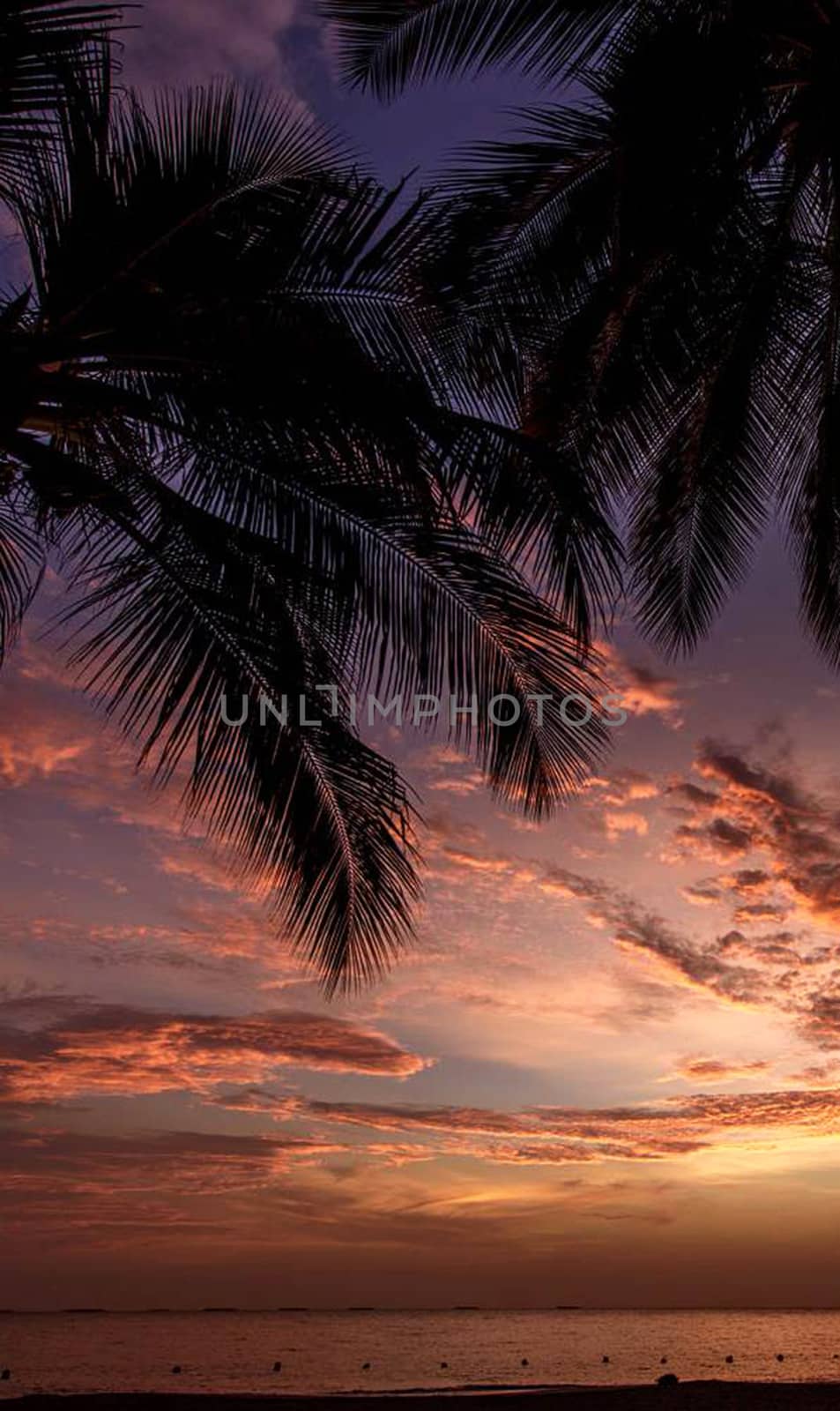 Beautiful pictures of  Colombia