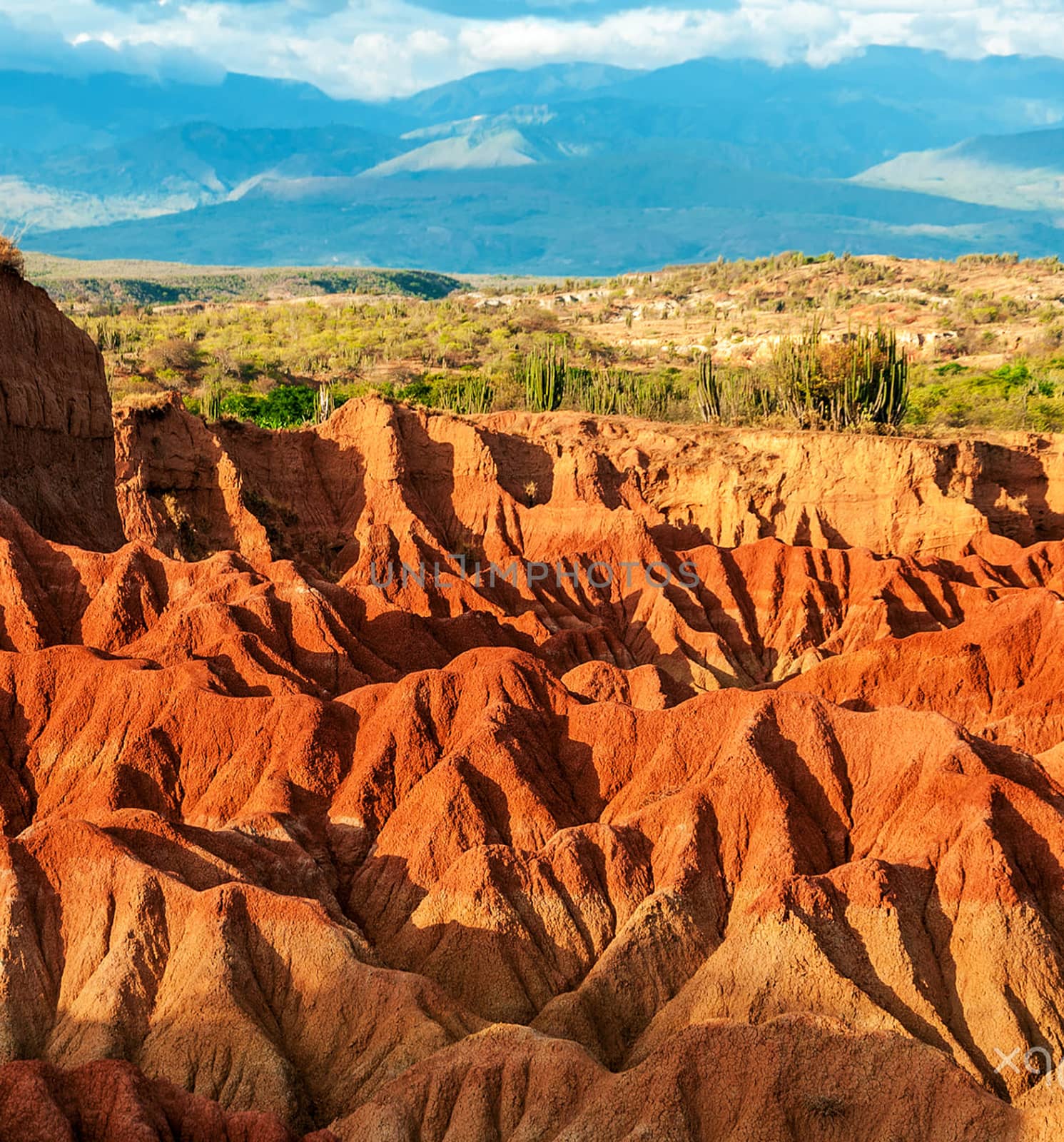 Beautiful pictures of  Colombia
