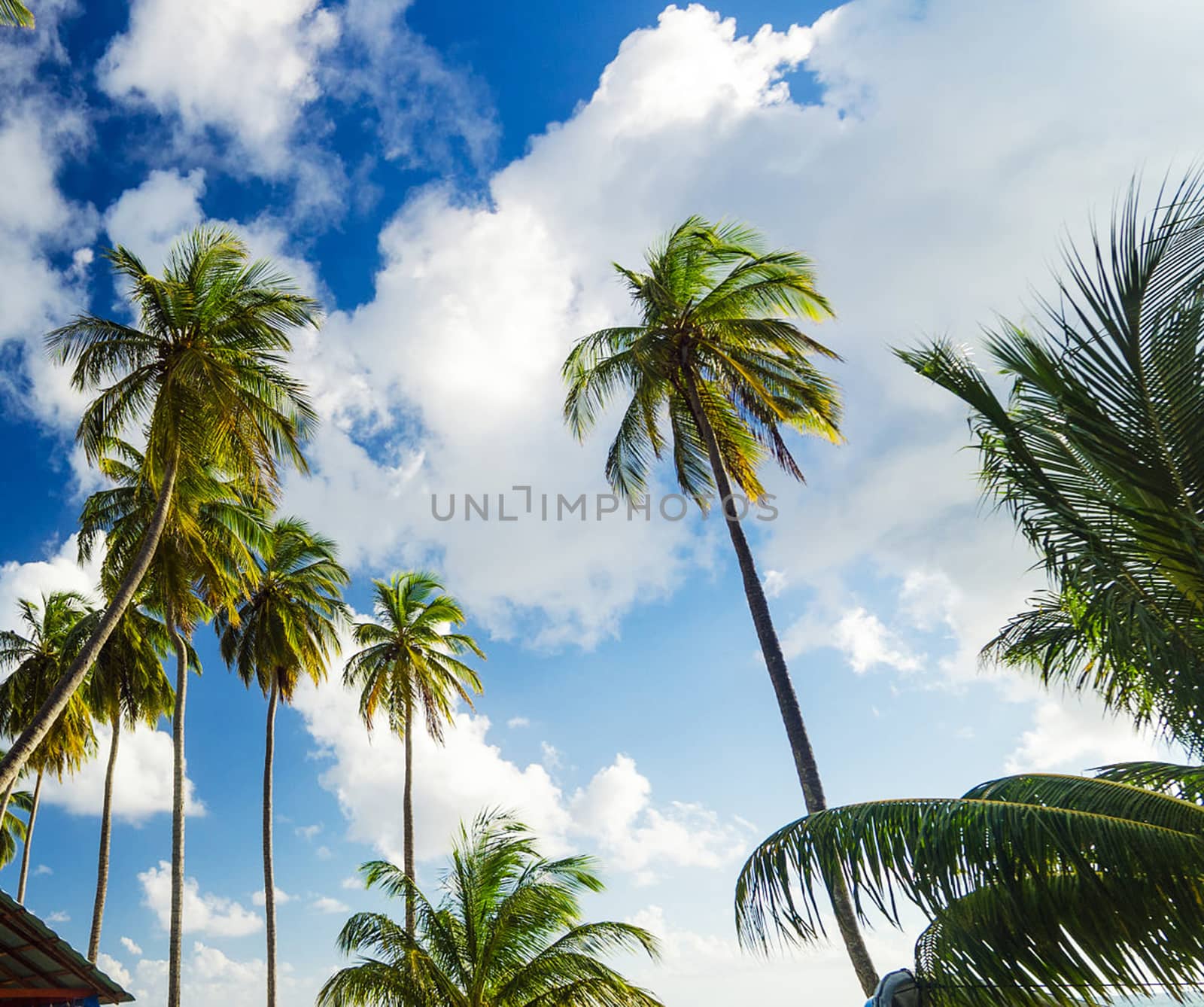Beautiful pictures of  Colombia