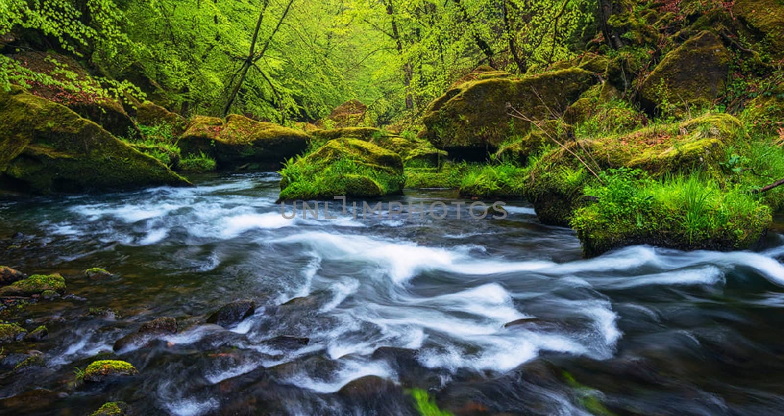 Beautiful pictures of  Colombia