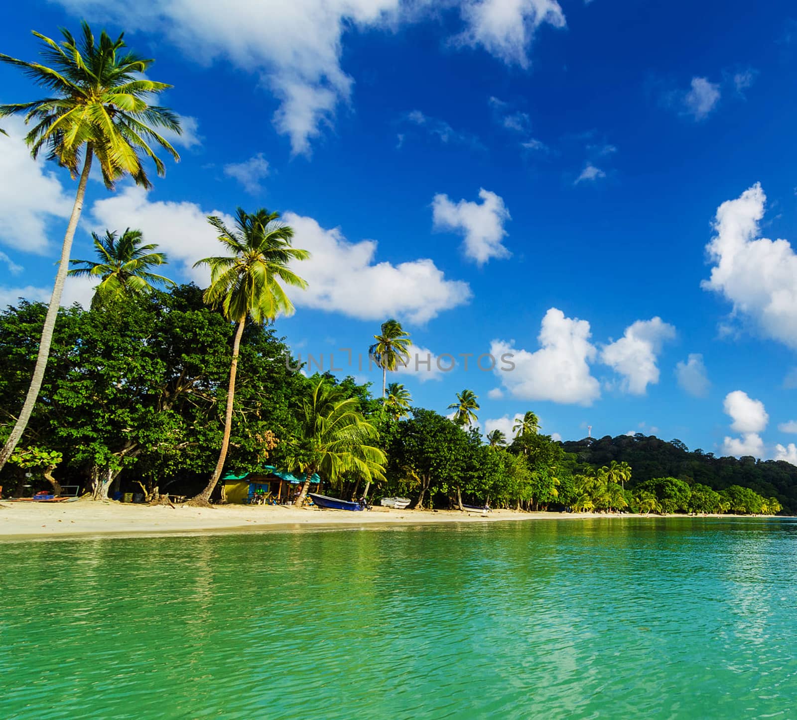 Beautiful pictures of  Colombia