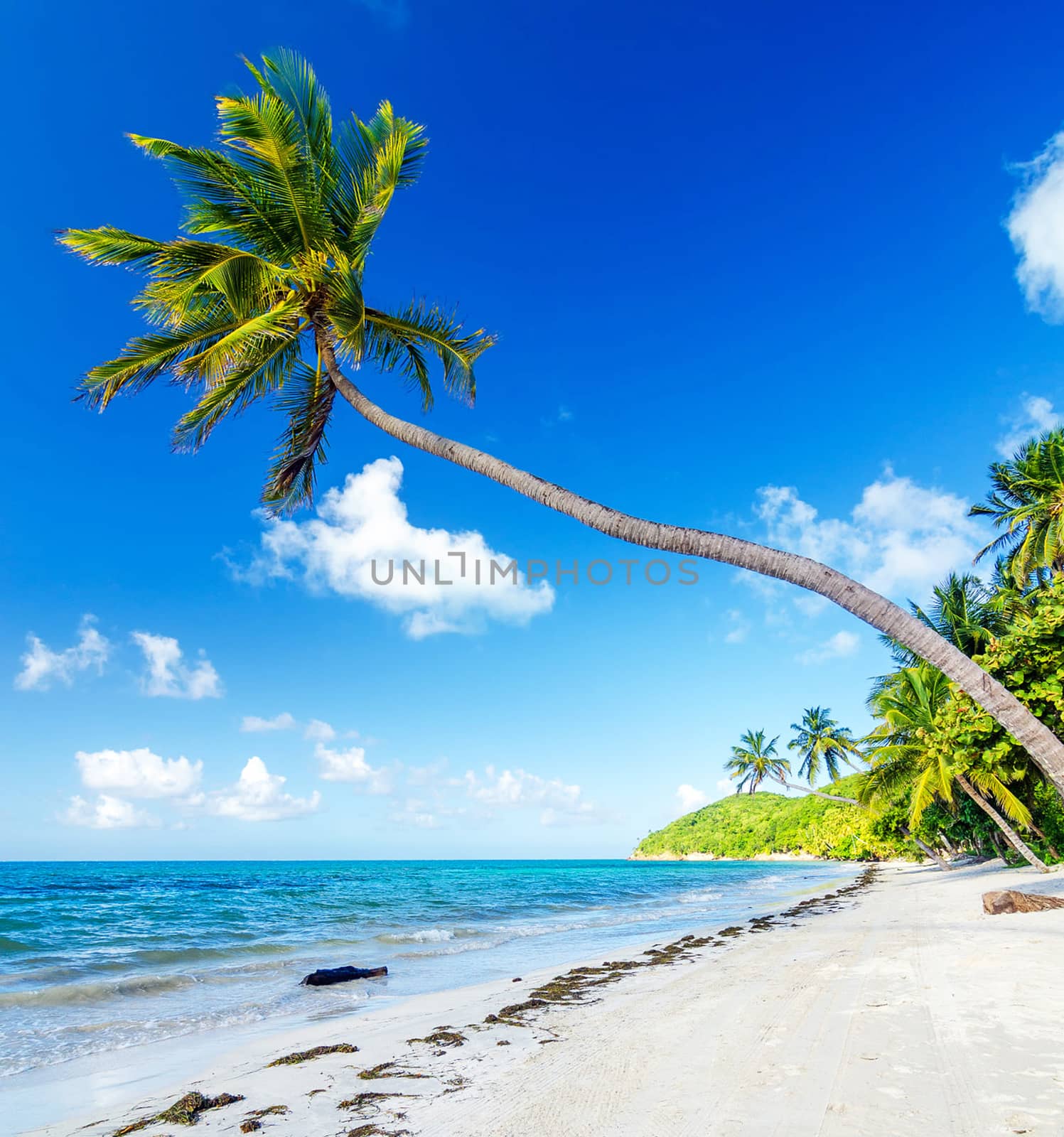 Beautiful pictures of  Colombia