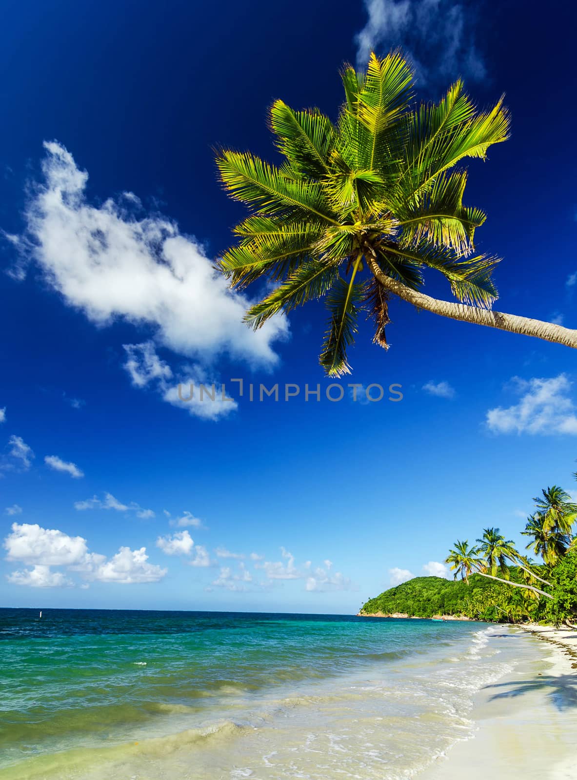 Beautiful pictures of  Colombia