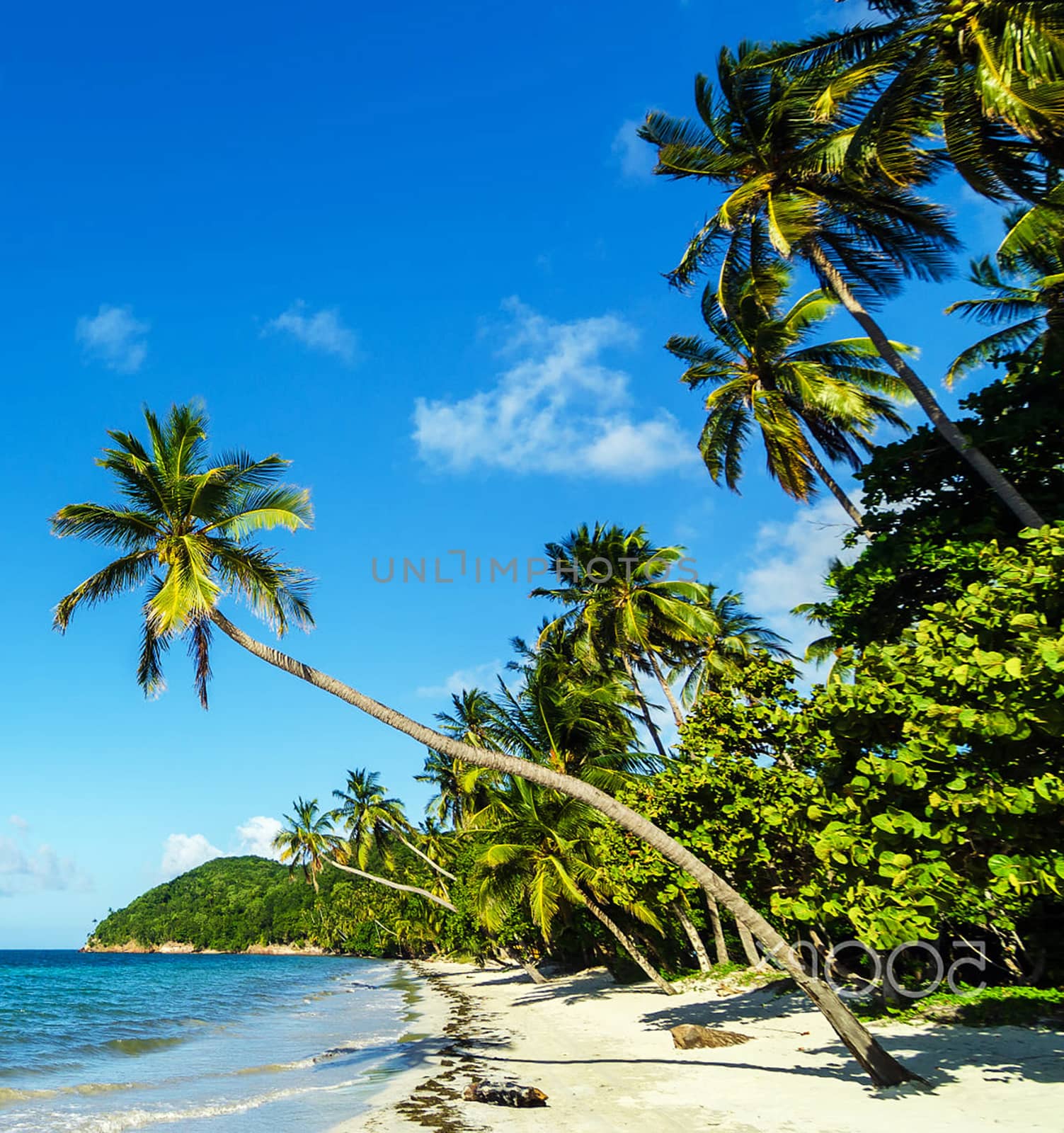 Beautiful pictures of  Colombia