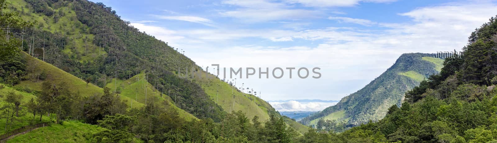 Beautiful pictures of  Colombia