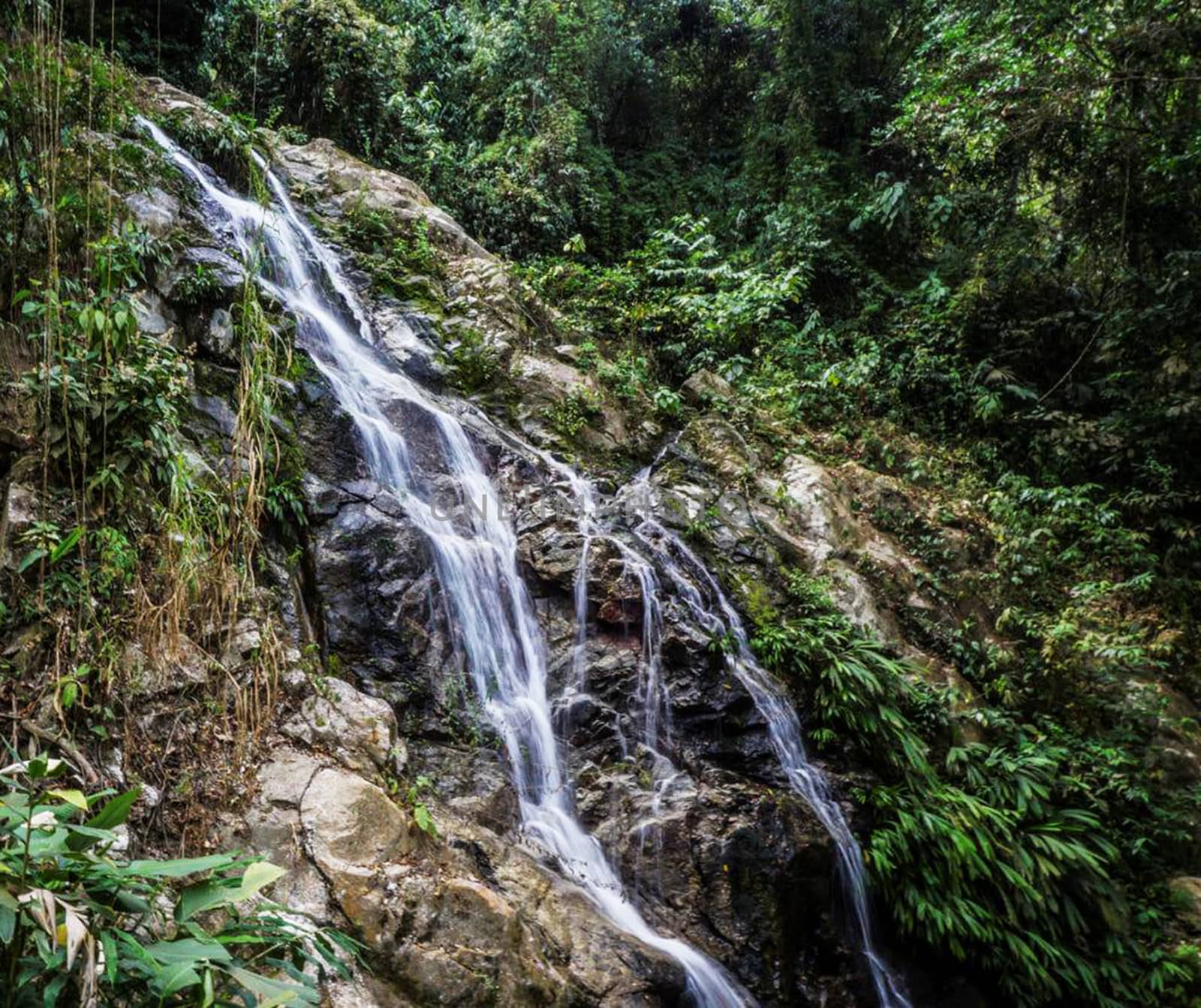 Beautiful pictures of  Colombia