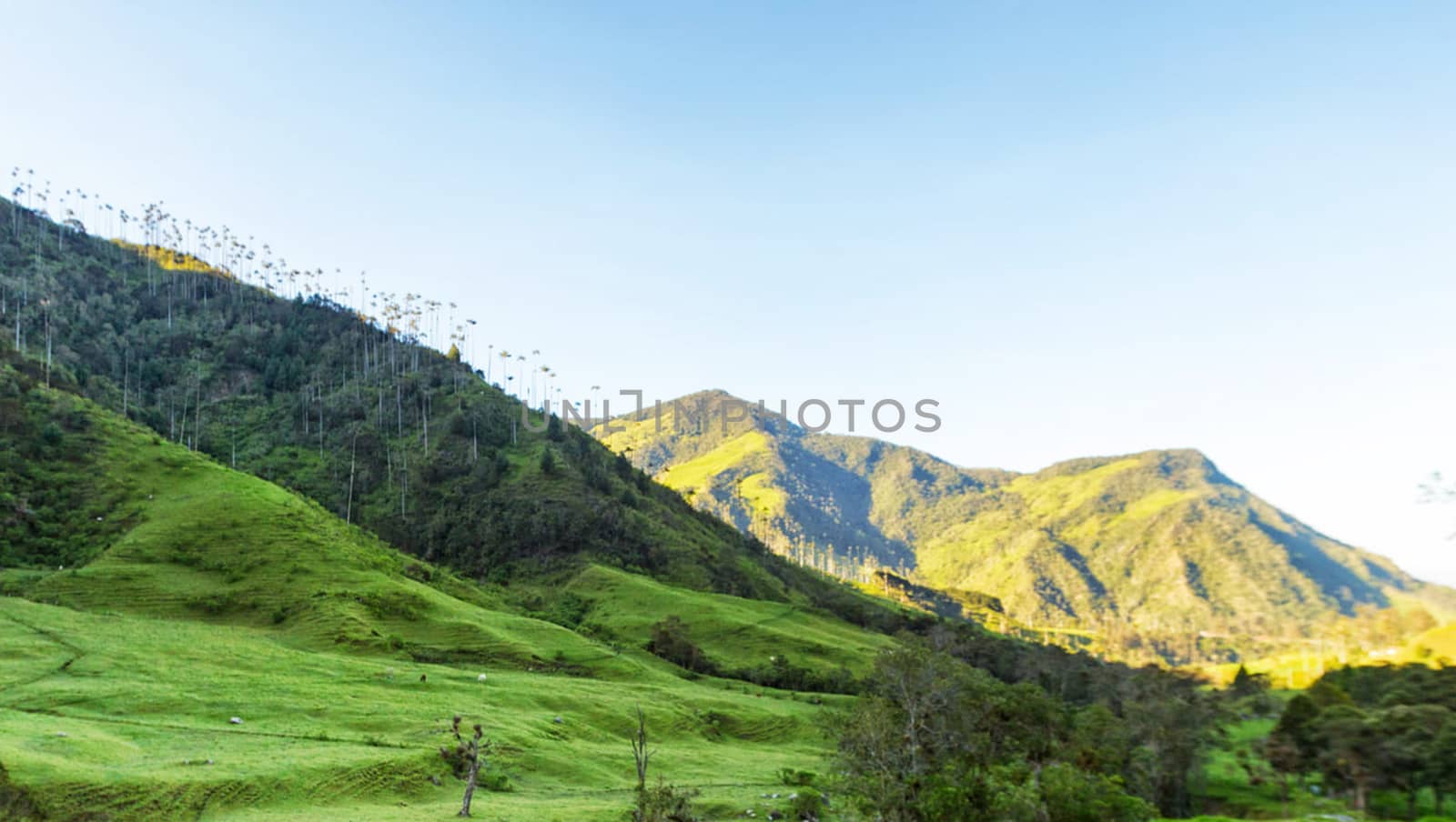 Beautiful pictures of  Colombia