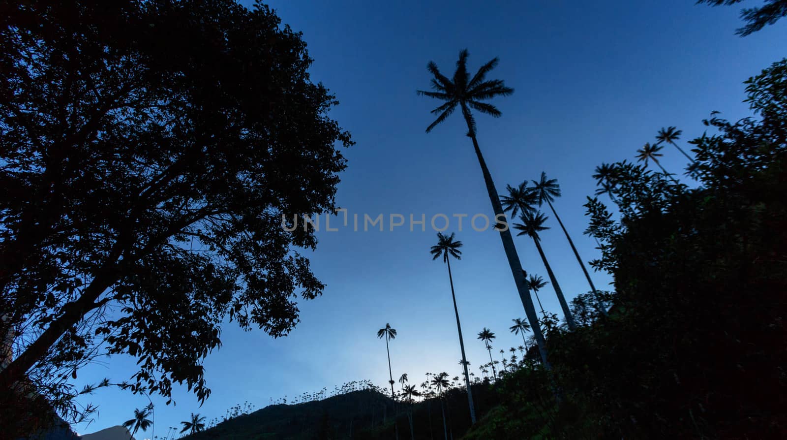 Beautiful pictures of  Colombia