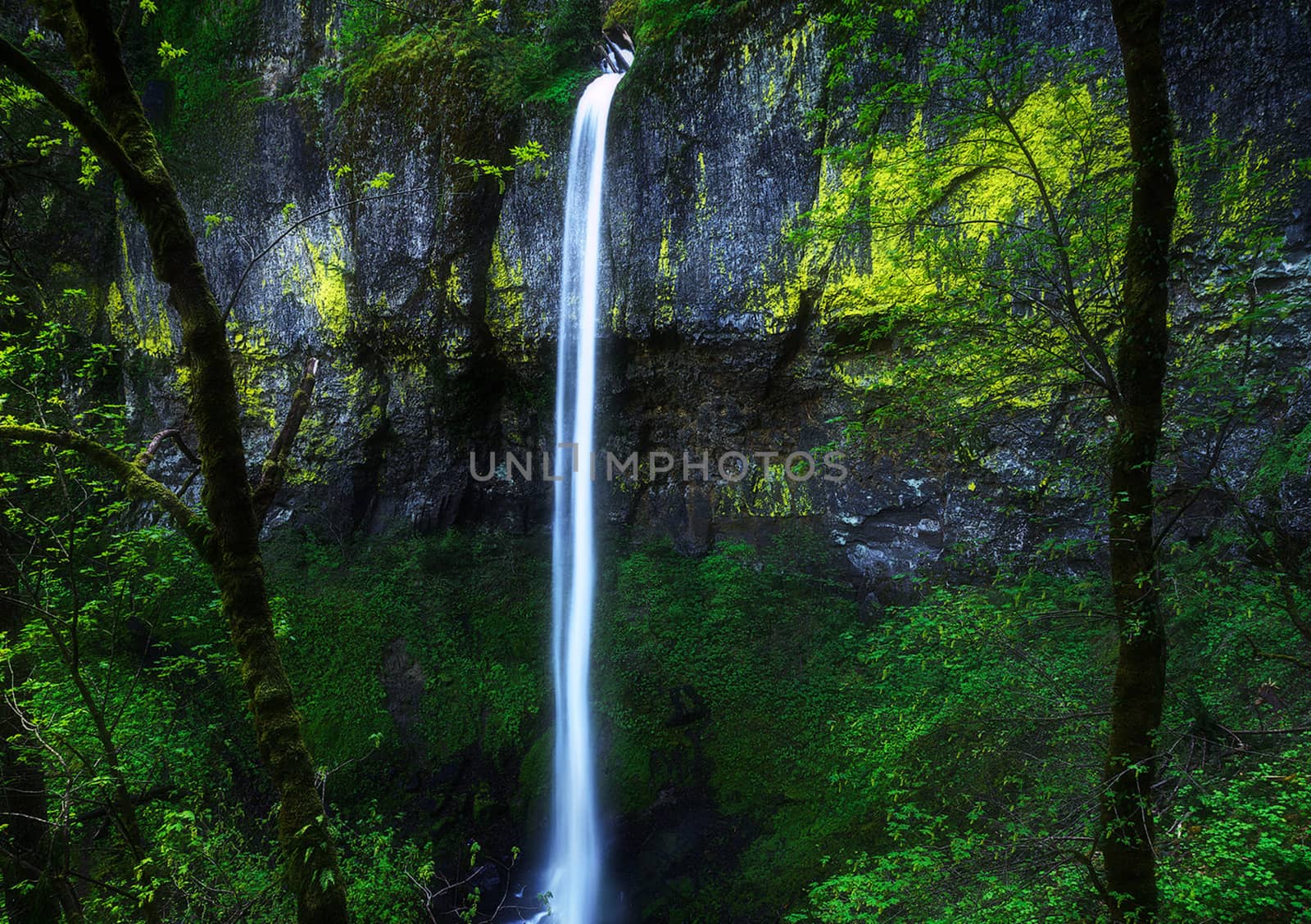 Beautiful pictures of  Colombia
