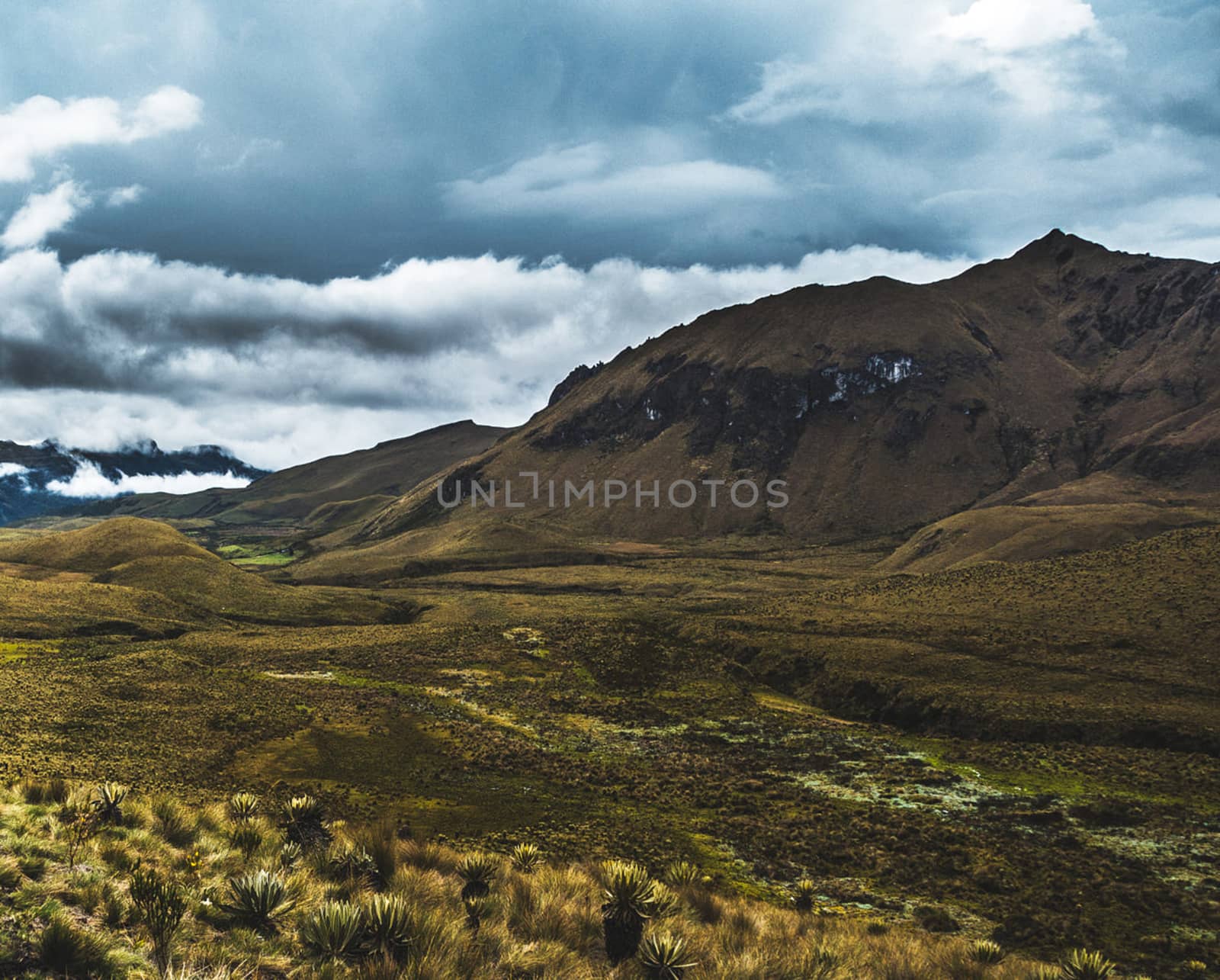 Beautiful pictures of  Colombia