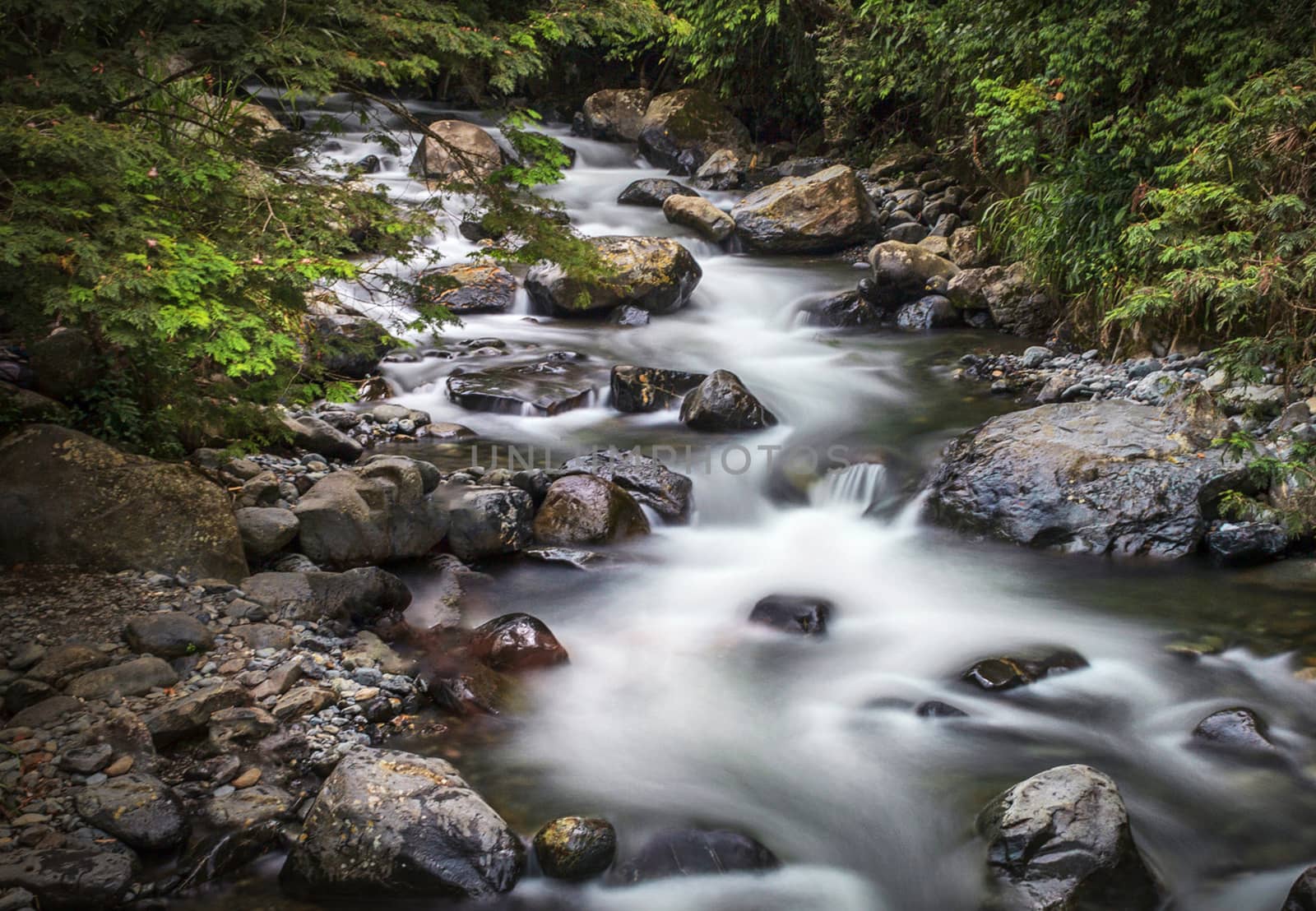 Beautiful pictures of  Colombia