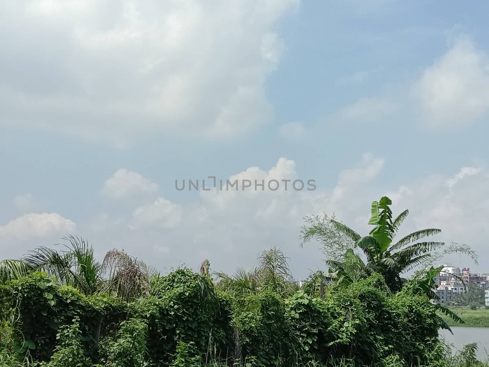 Blue Sky With Beautiful Green Nature view