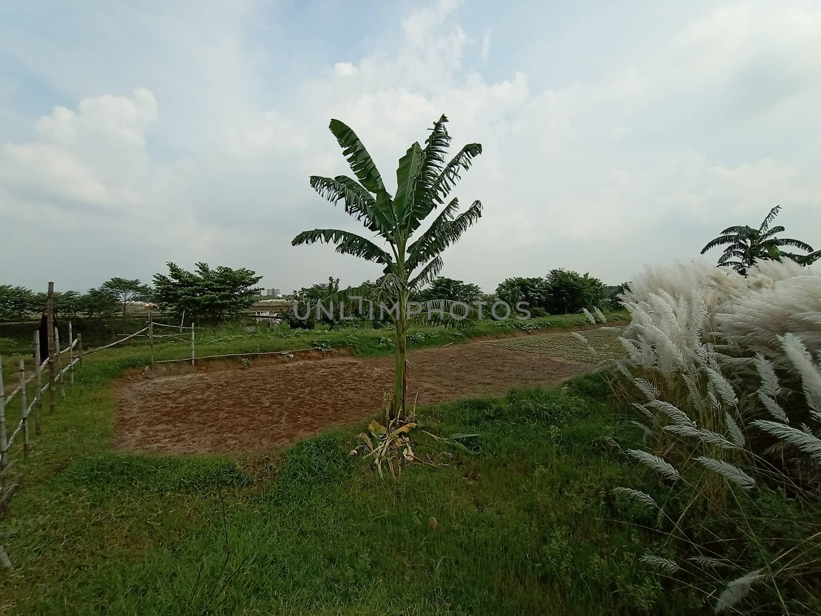 Blue Sky With Beautiful Green Nature view