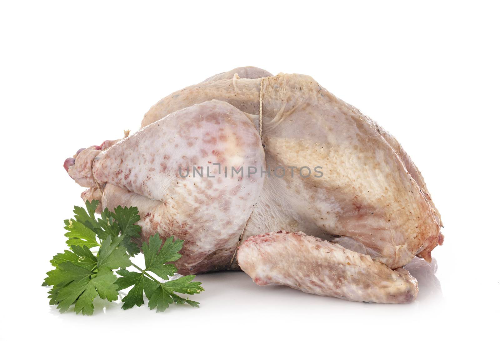 raw chicken in front of white background
