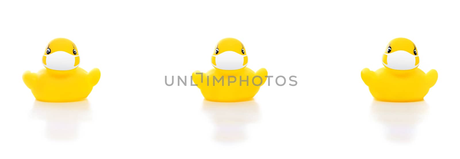 cute yellow rubber ducks in face masks on white background, concept of social distancing flu prevention, people should practice social distancing during situation of COVID-19 to stop the pandemic