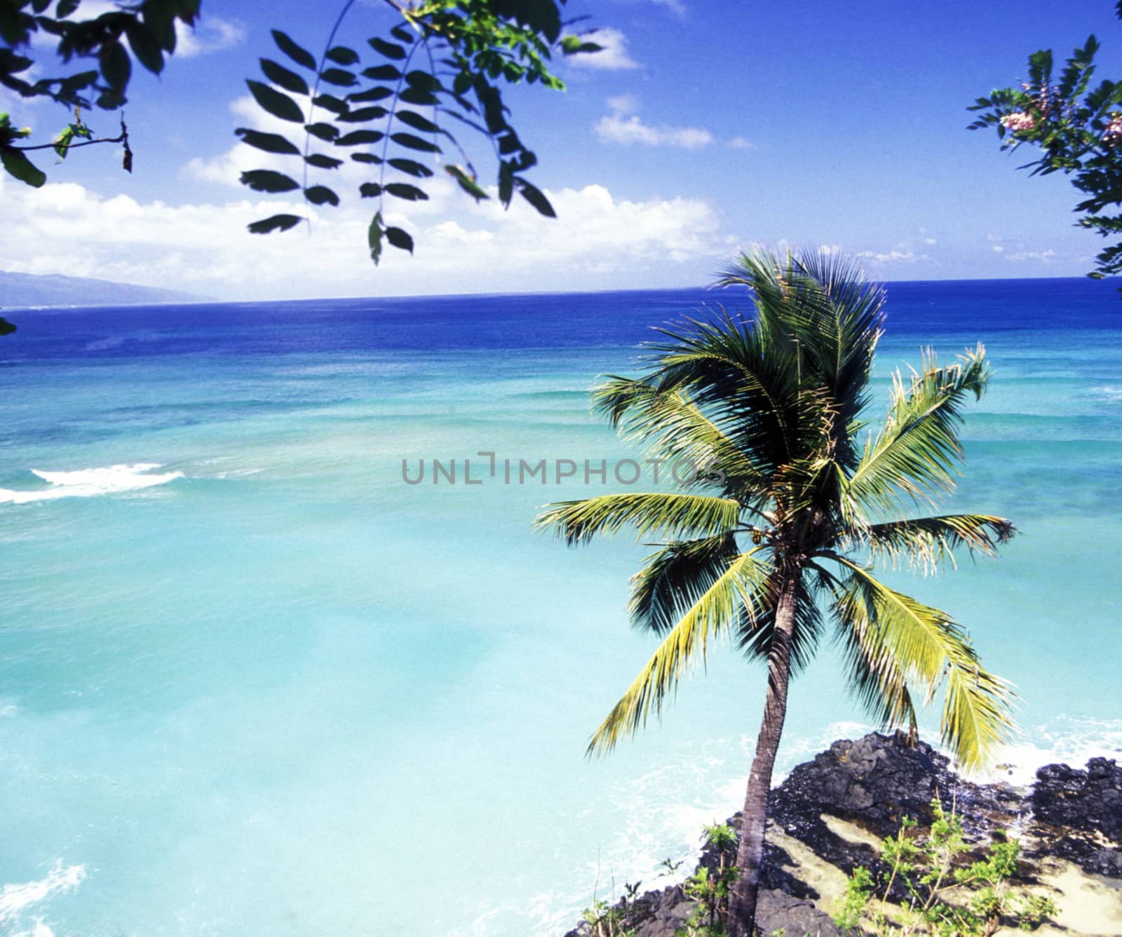 Beautiful pictures of  Comoros