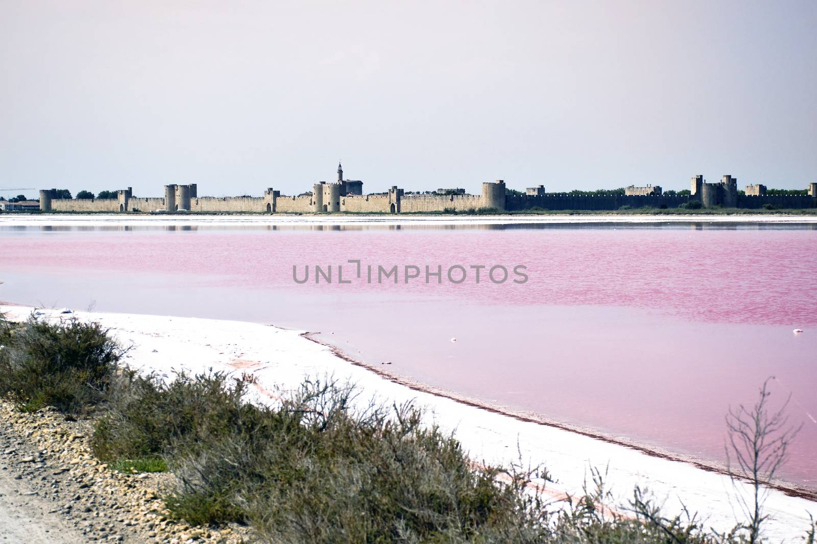 Le rosse saline di Aigües Mortes , con la città fortificata sullo sfondo