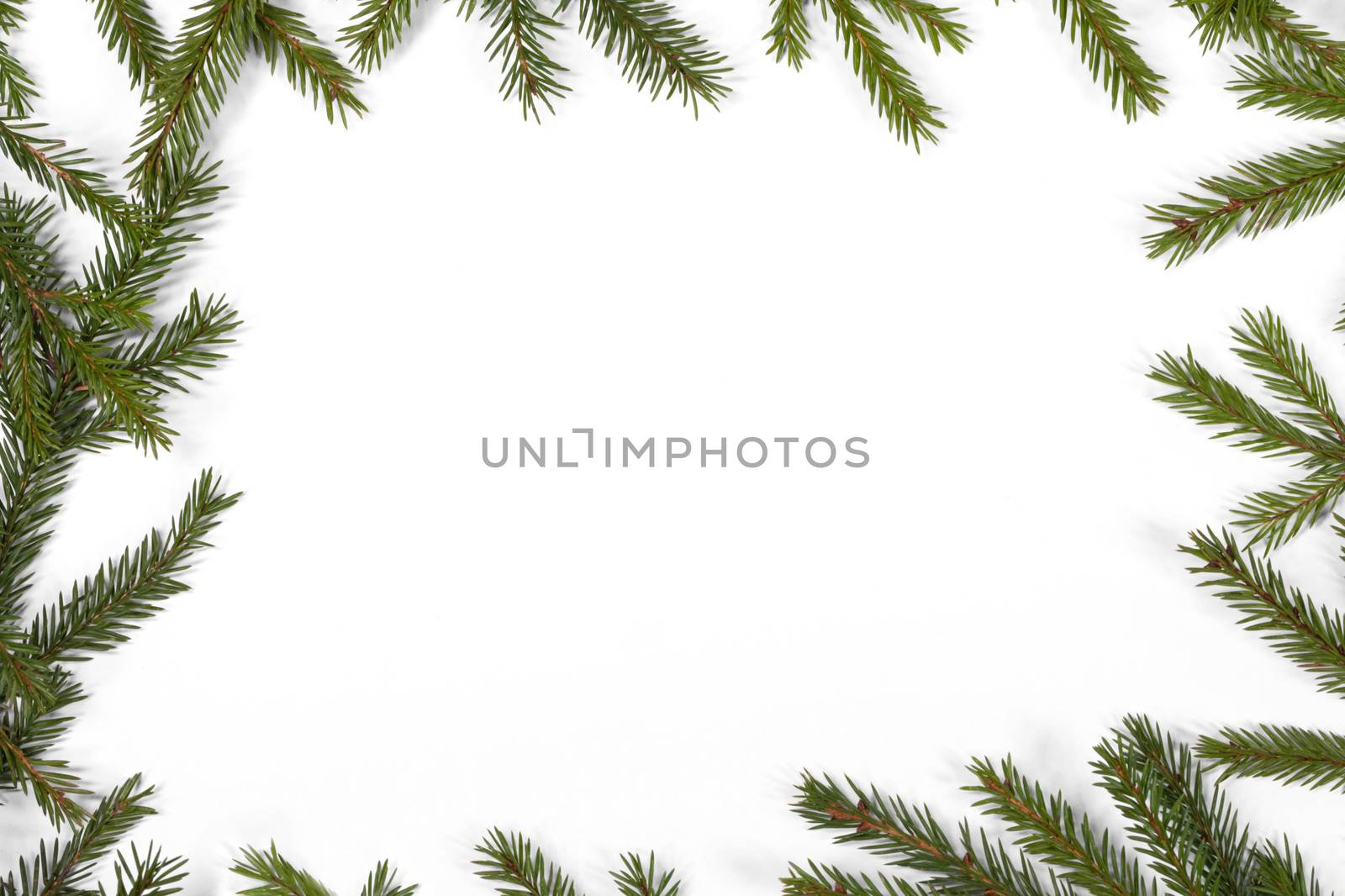 Natural fir Christmas tree border frame isolated on white , copy space for text