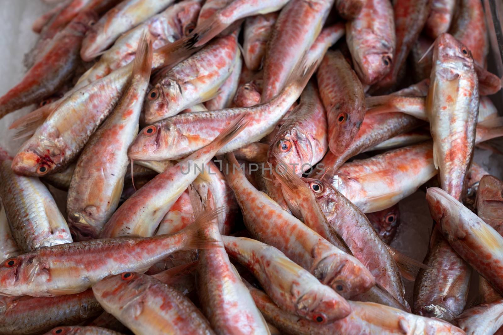 Red mullet stowed on ice at the market by Robertobinetti70