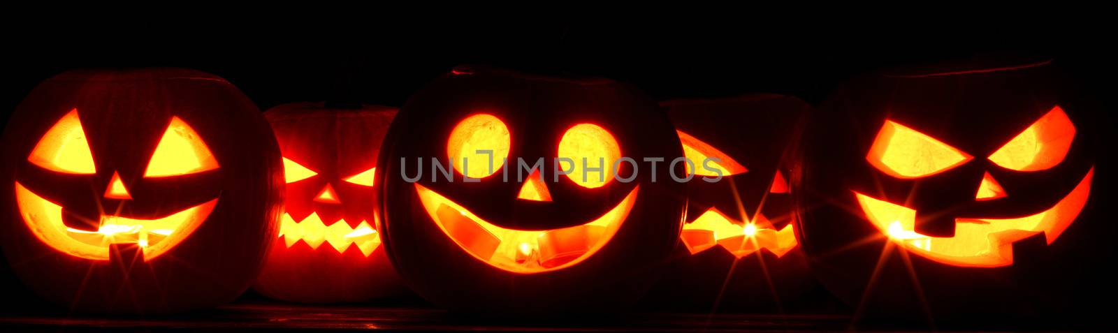 Halloween Pumpkin in a row by Yellowj