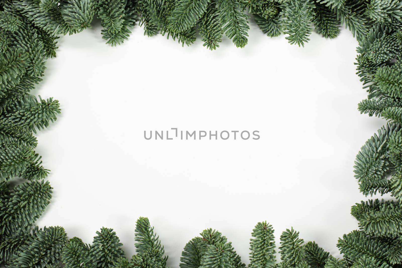 Natural noble fir Christmas tree border frame isolated on white , copy space for text