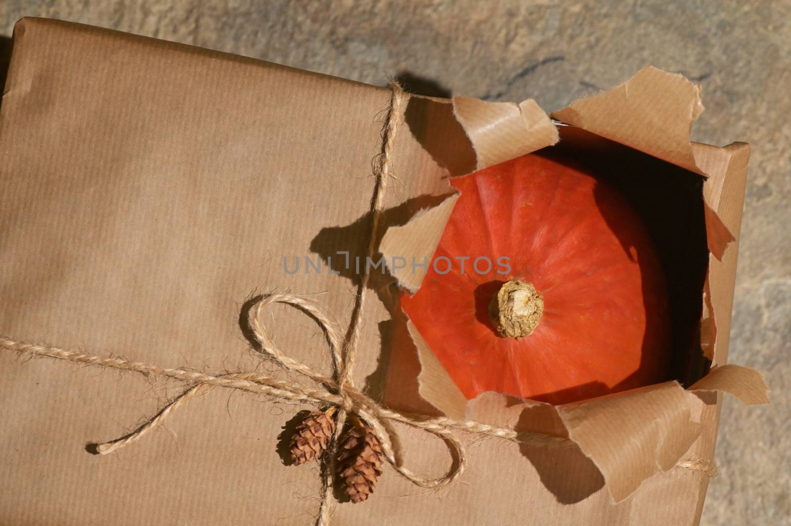 Abstract Autumn Pumpkin with Open Present Gift Box