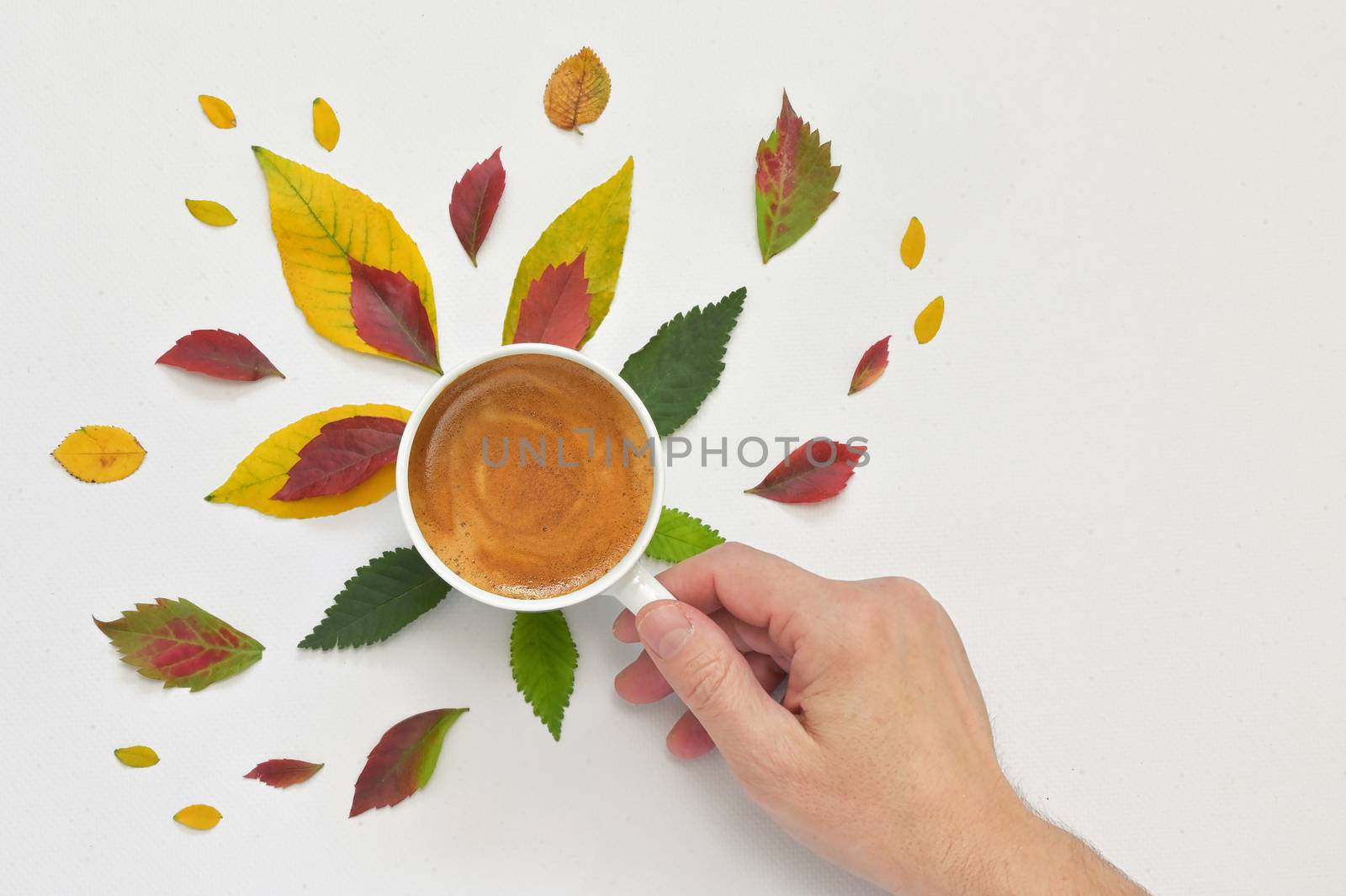 Conceptual Espresso Coffee Cup with Autumn Leaves by mady70