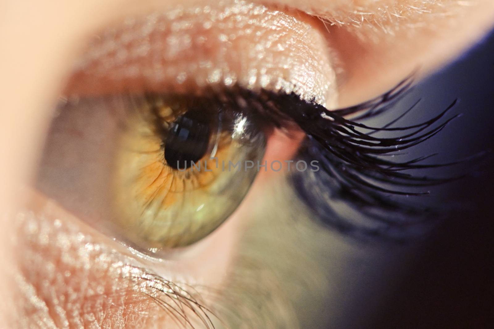 Details of Human Eye Macro View with Natural Light