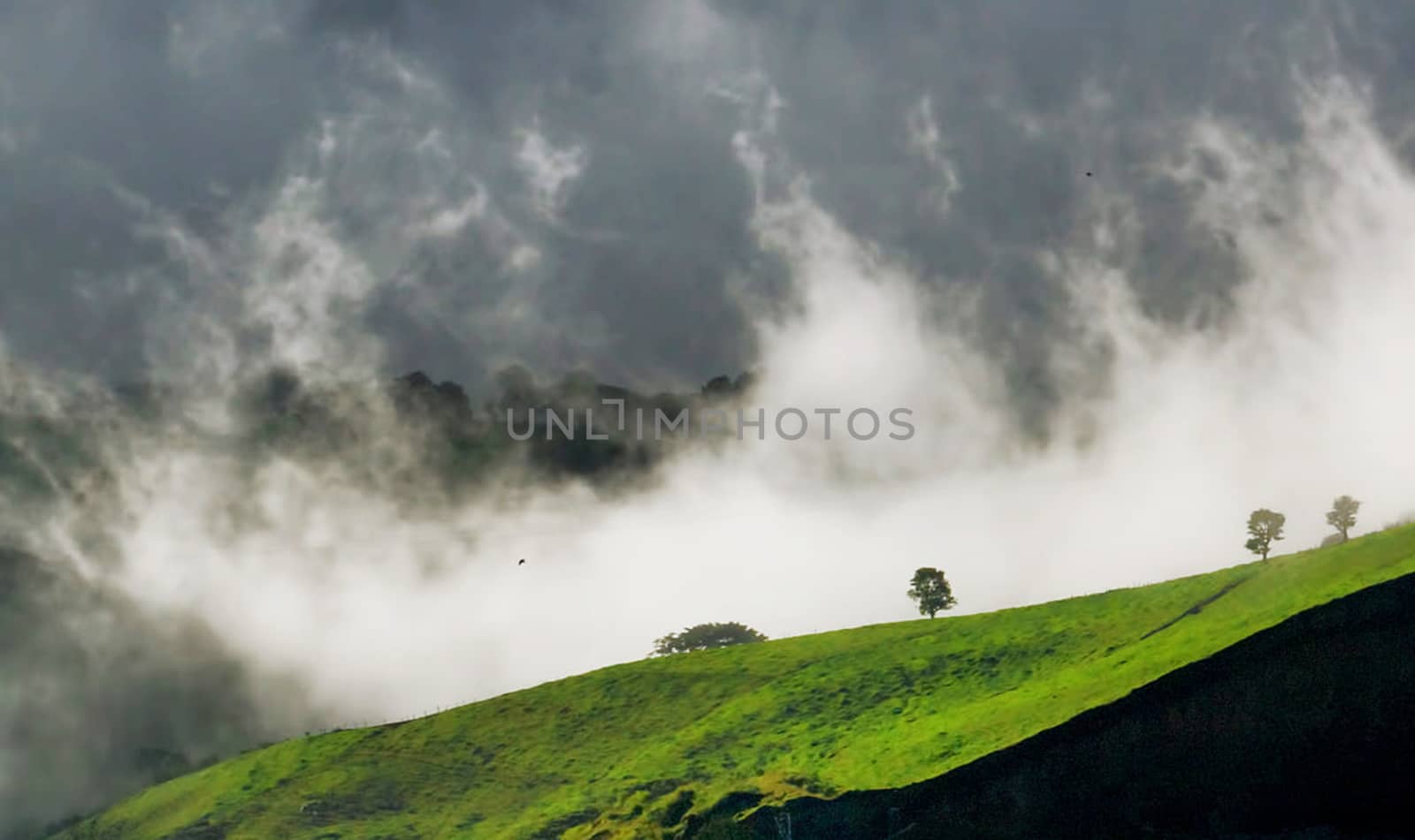 Beautiful pictures of Costa Rica