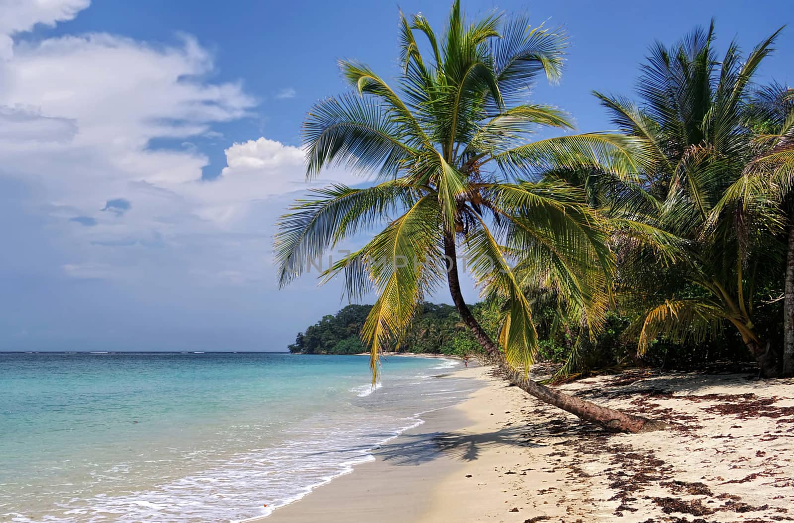 Beautiful pictures of Costa Rica