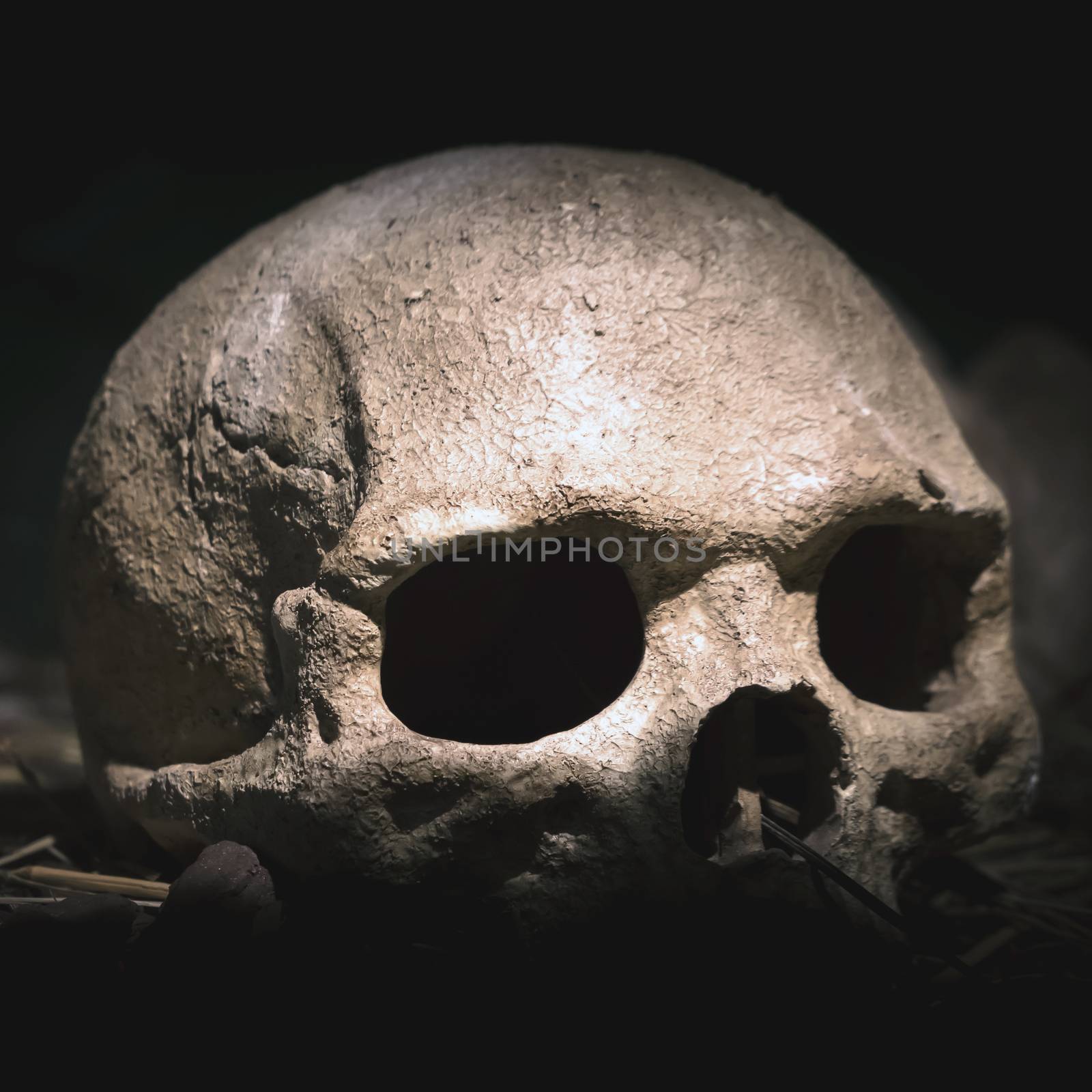 Old skull. Real human skull on dark background. Vintage black background.
