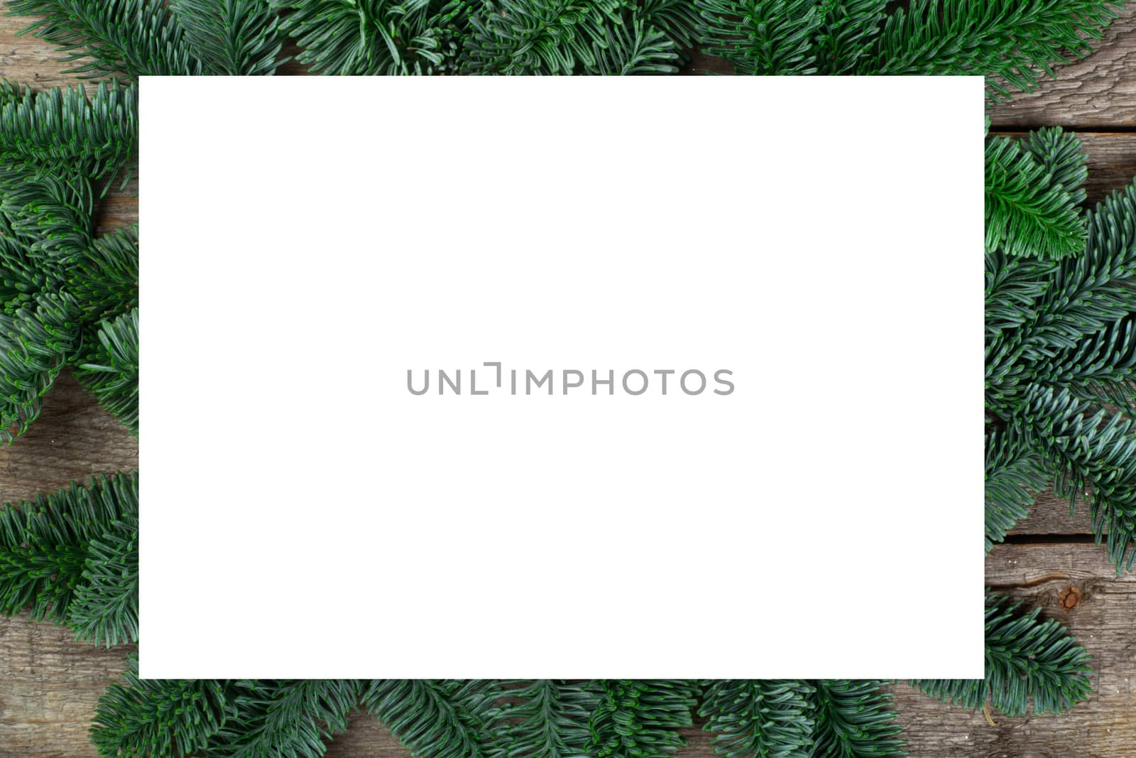 Christmas frame of natural fir tree branches with copy space for text isolated on white