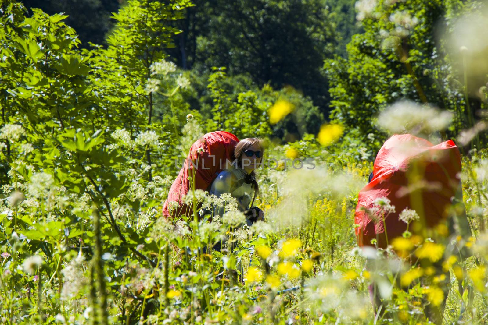 Hiker and backpacker in the mountain valley and field, trekking and hiking scene in Svaneti, Georgia, young and adult woman.