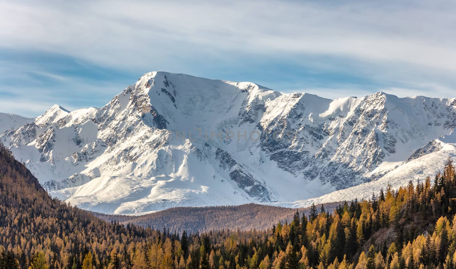 Scenic panoramic aerial view of snowy mountain peaks and slopes of North Chuyskiy ridge. Golden trees in the foreground. Beautiful blue cloudy sky as a background. Altai mountains, Siberia, Russia by DamantisZ