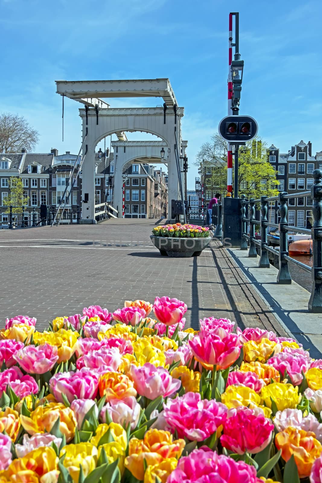 Tiny bridge in Amsterdam the Netherlands in springtime