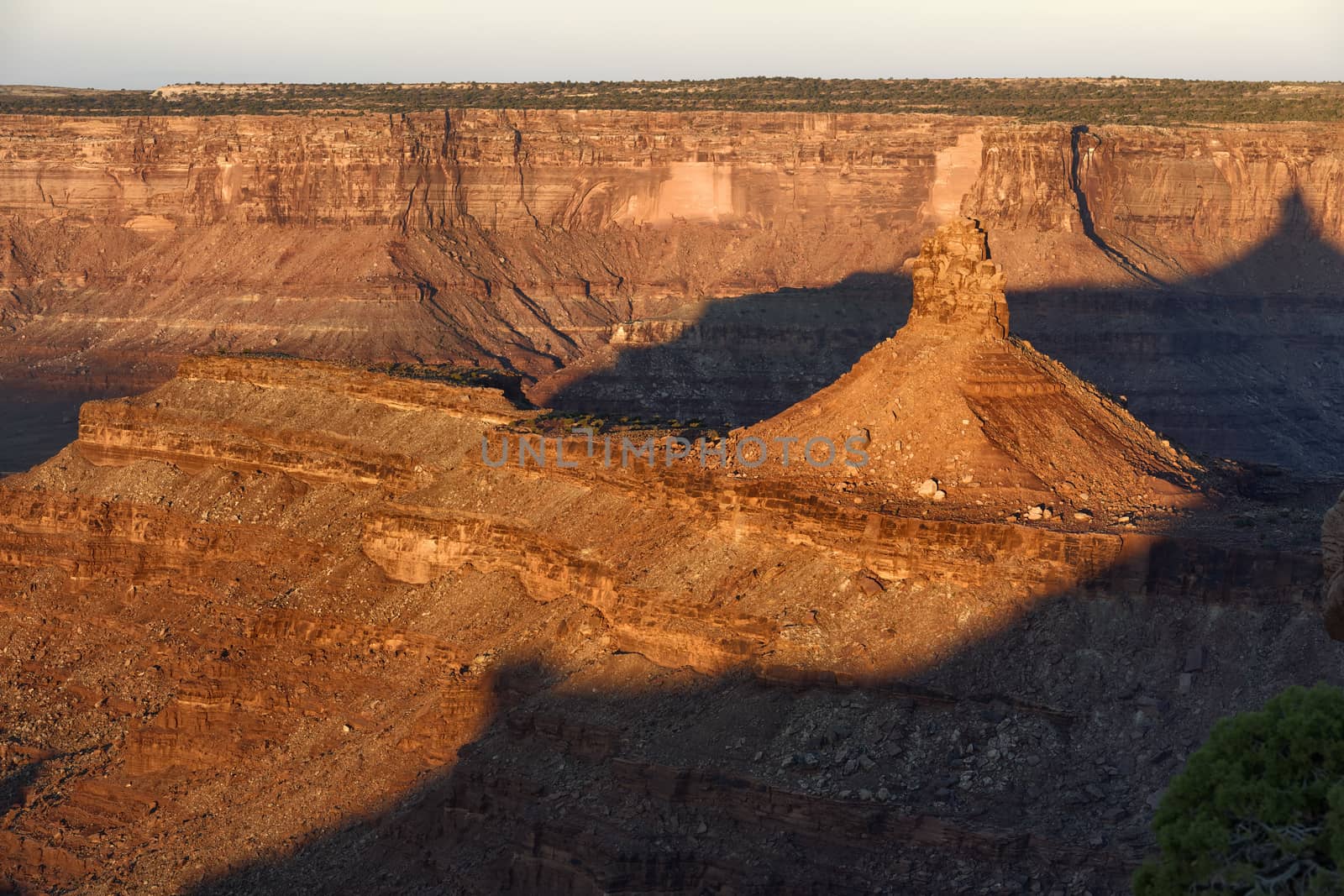 Warm sunset light on the cliffs of Dead Horse Point State Park, Utah.